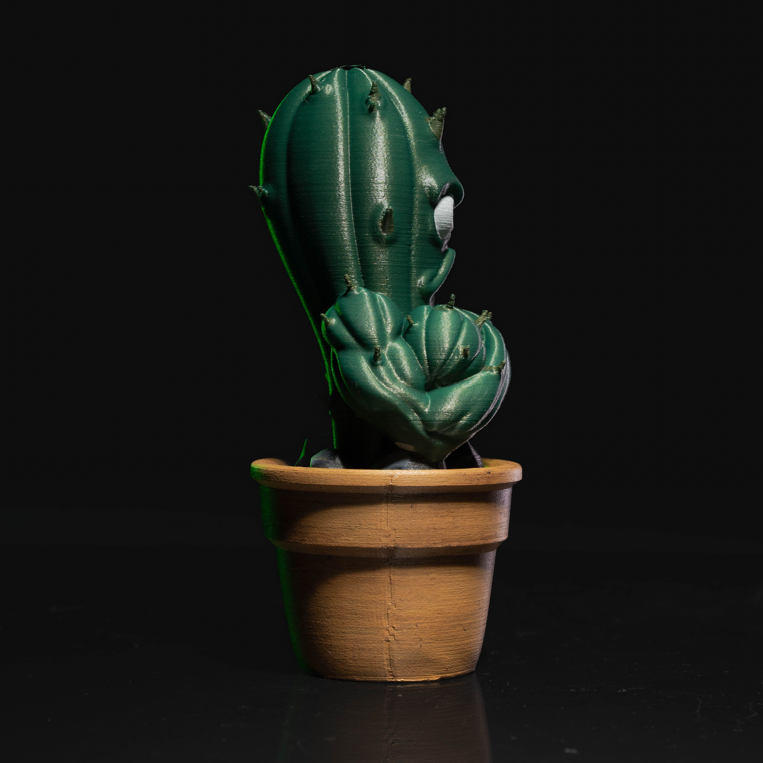 Prickly Punk Gang 03