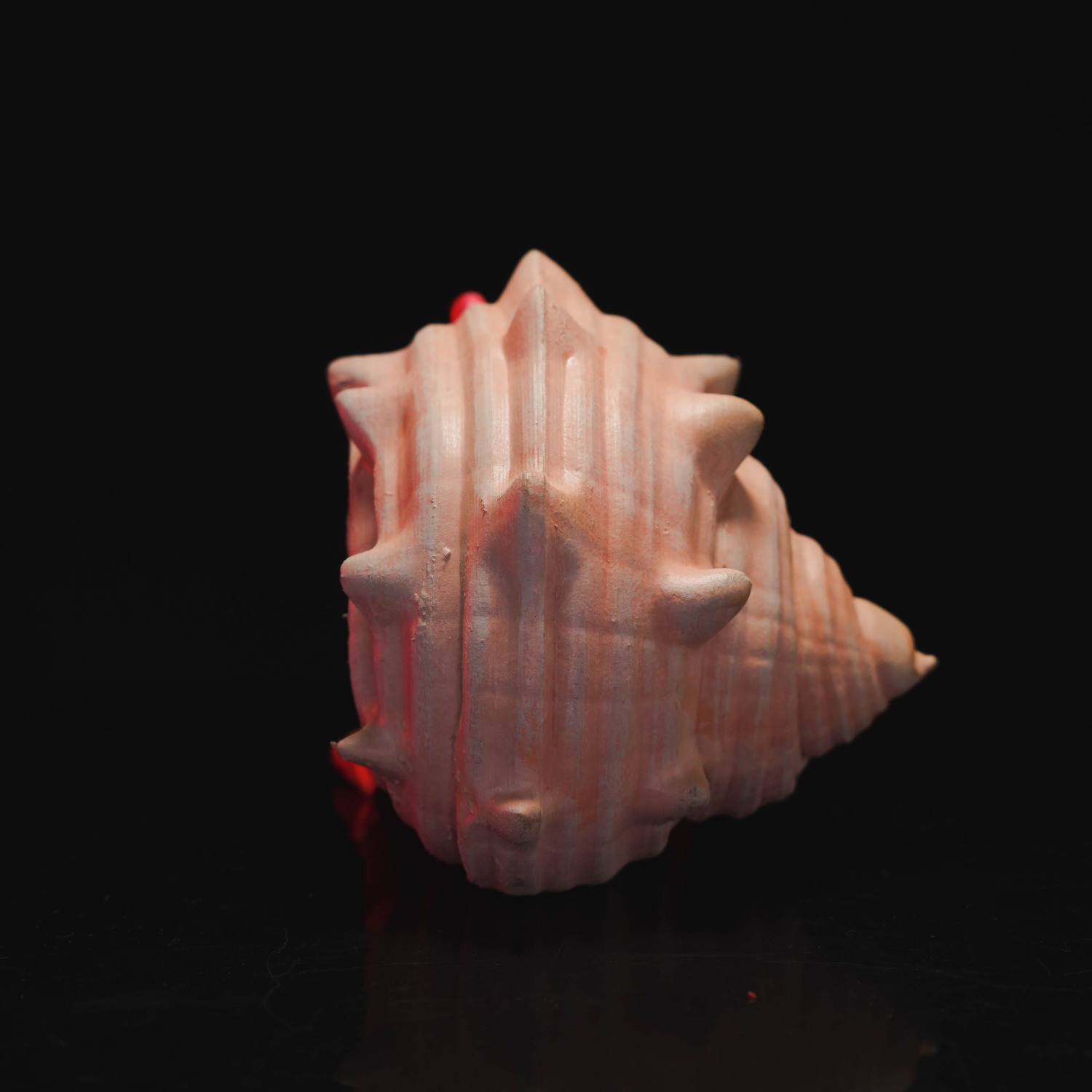 Articulated Hermes, the Hermit Crab