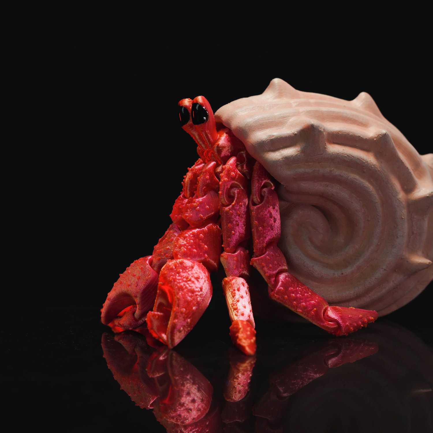 Articulated Hermes, the Hermit Crab