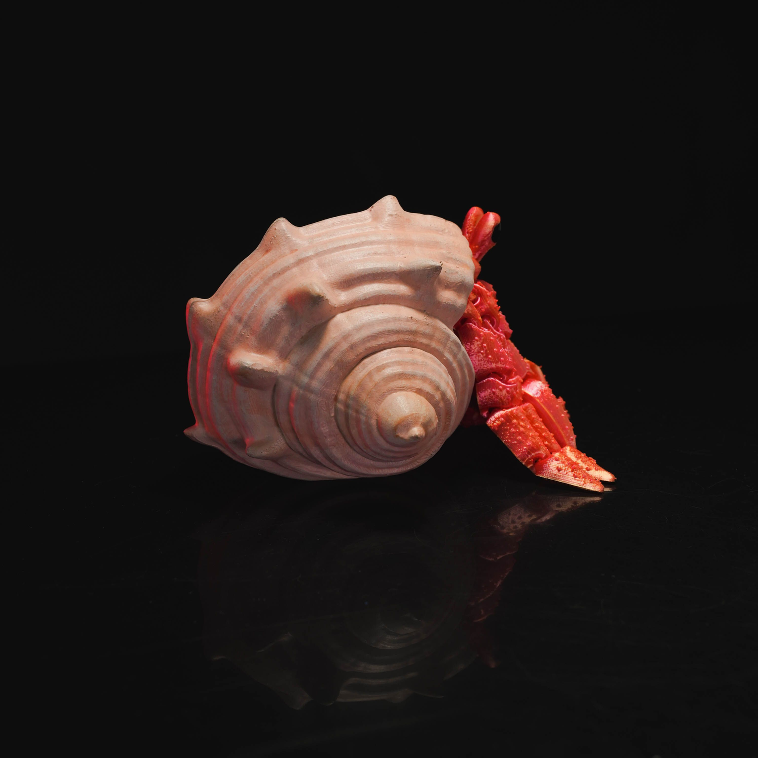 Articulated Hermes, the Hermit Crab
