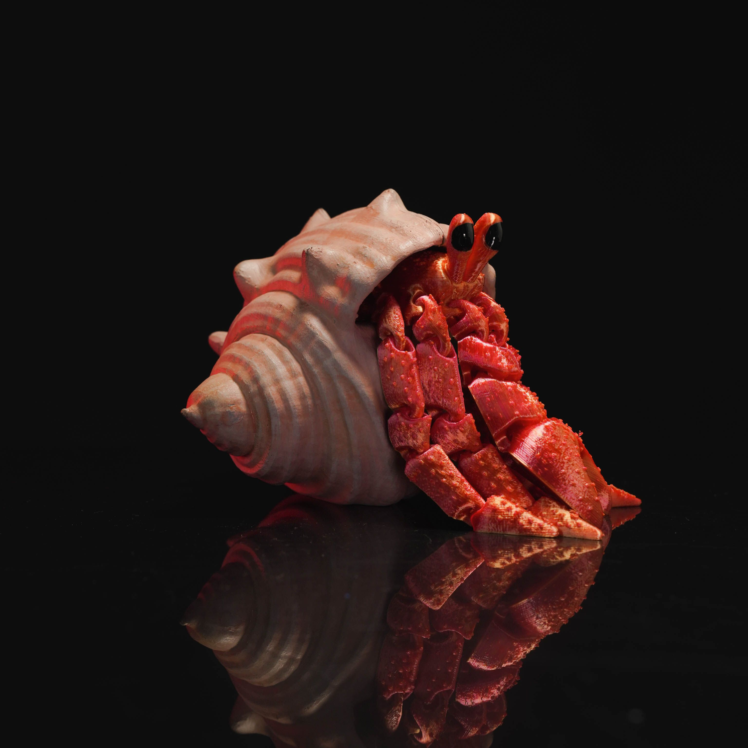 Articulated Hermes, the Hermit Crab