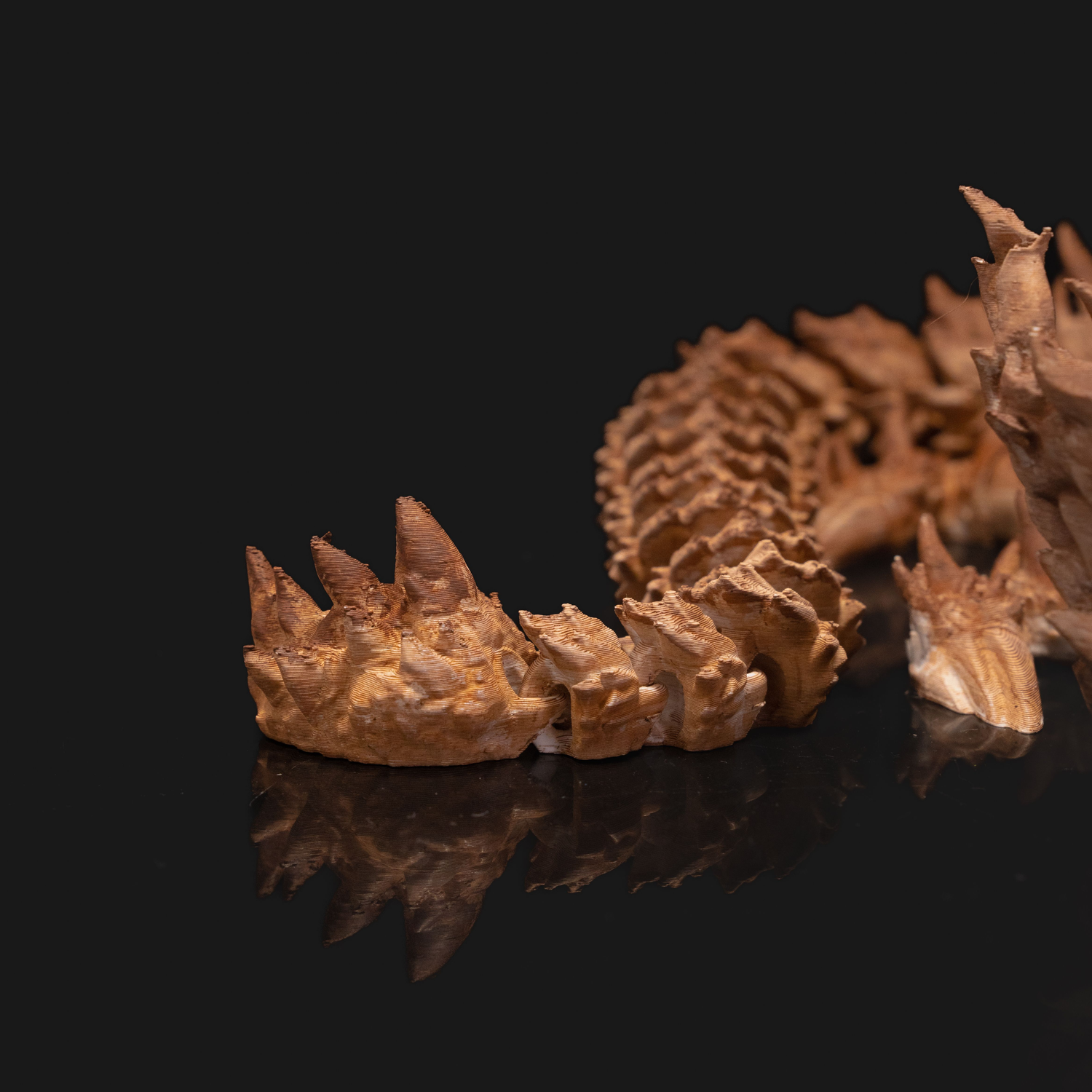 Desert Mama Dragon