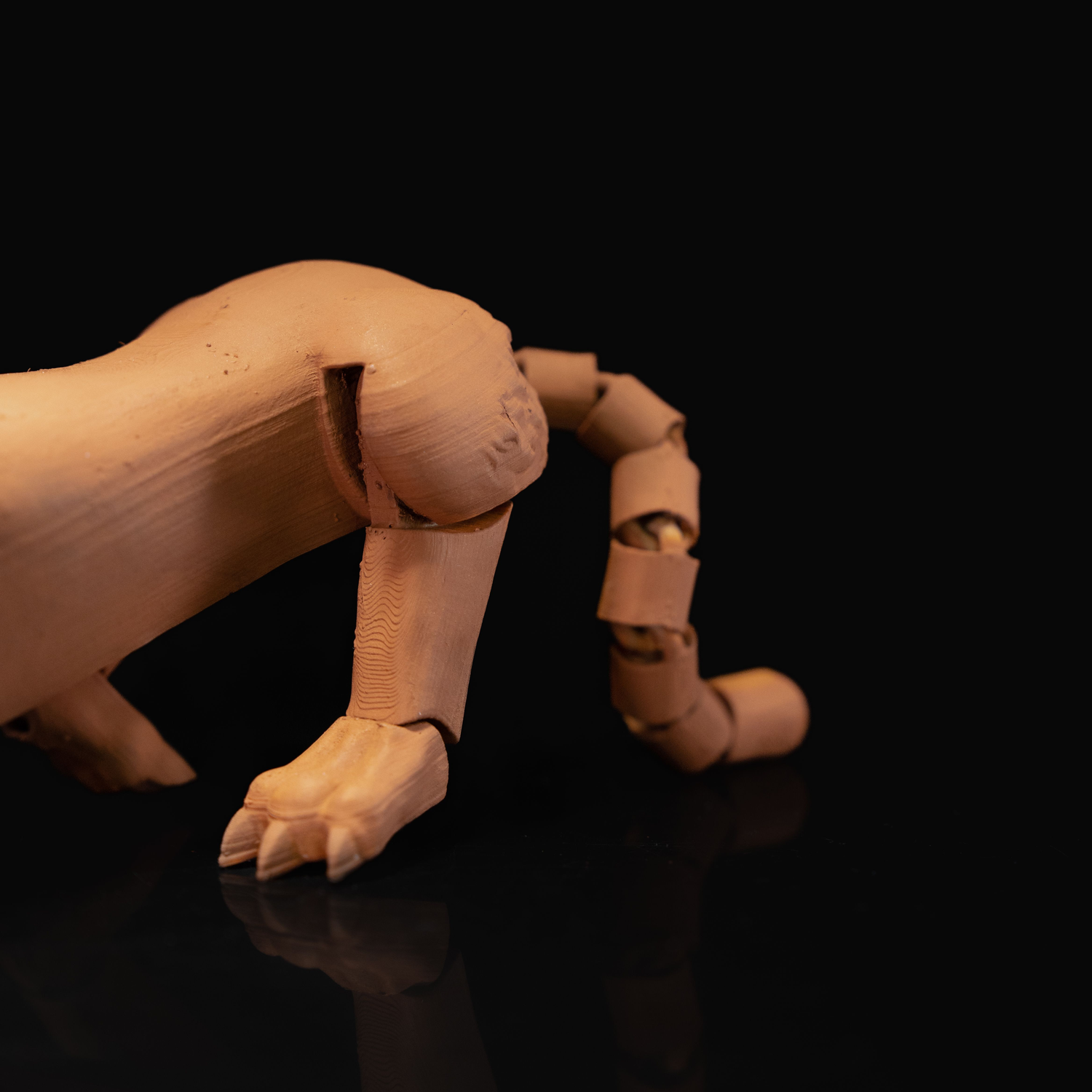 Articulated Sabertooth Cat