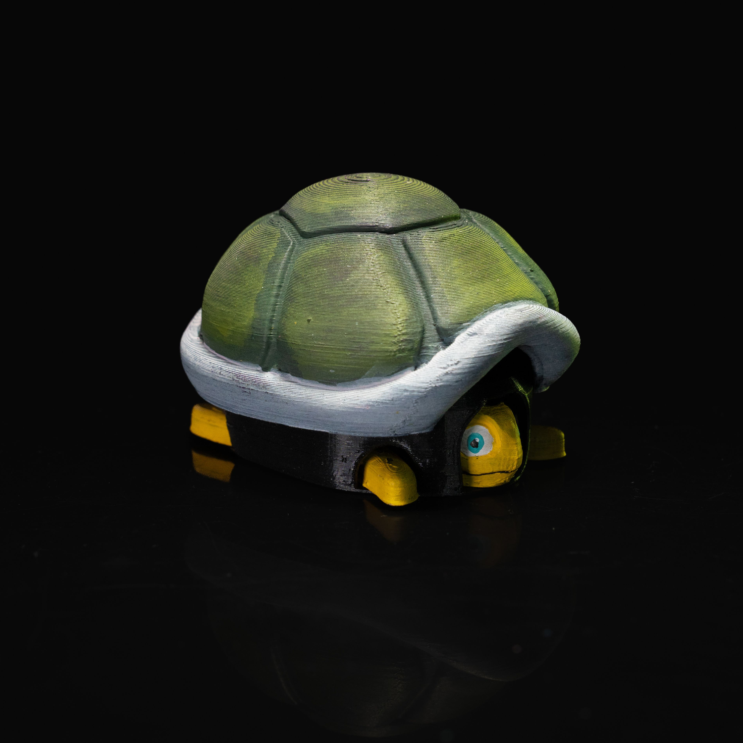 Retractable Sleepy Turtle