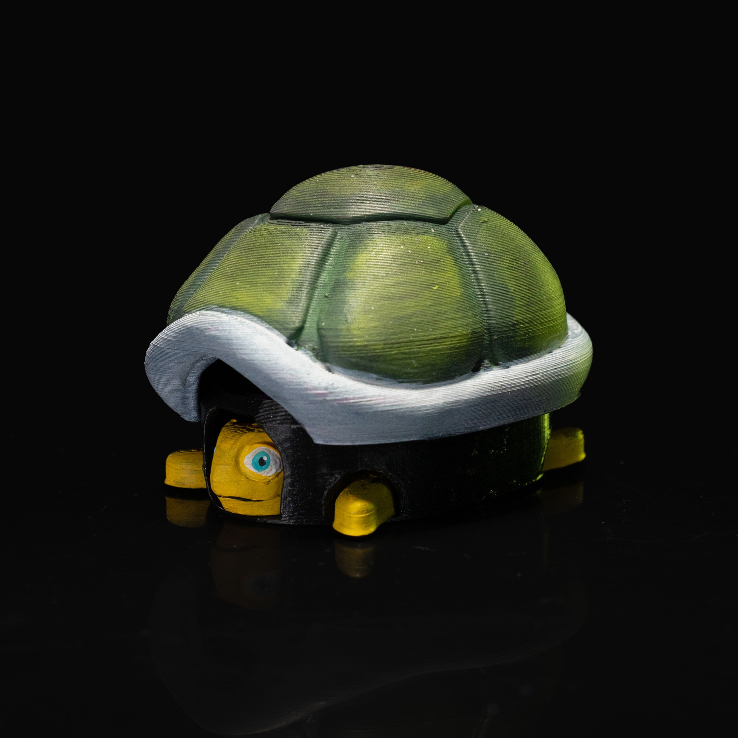 Retractable Sleepy Turtle