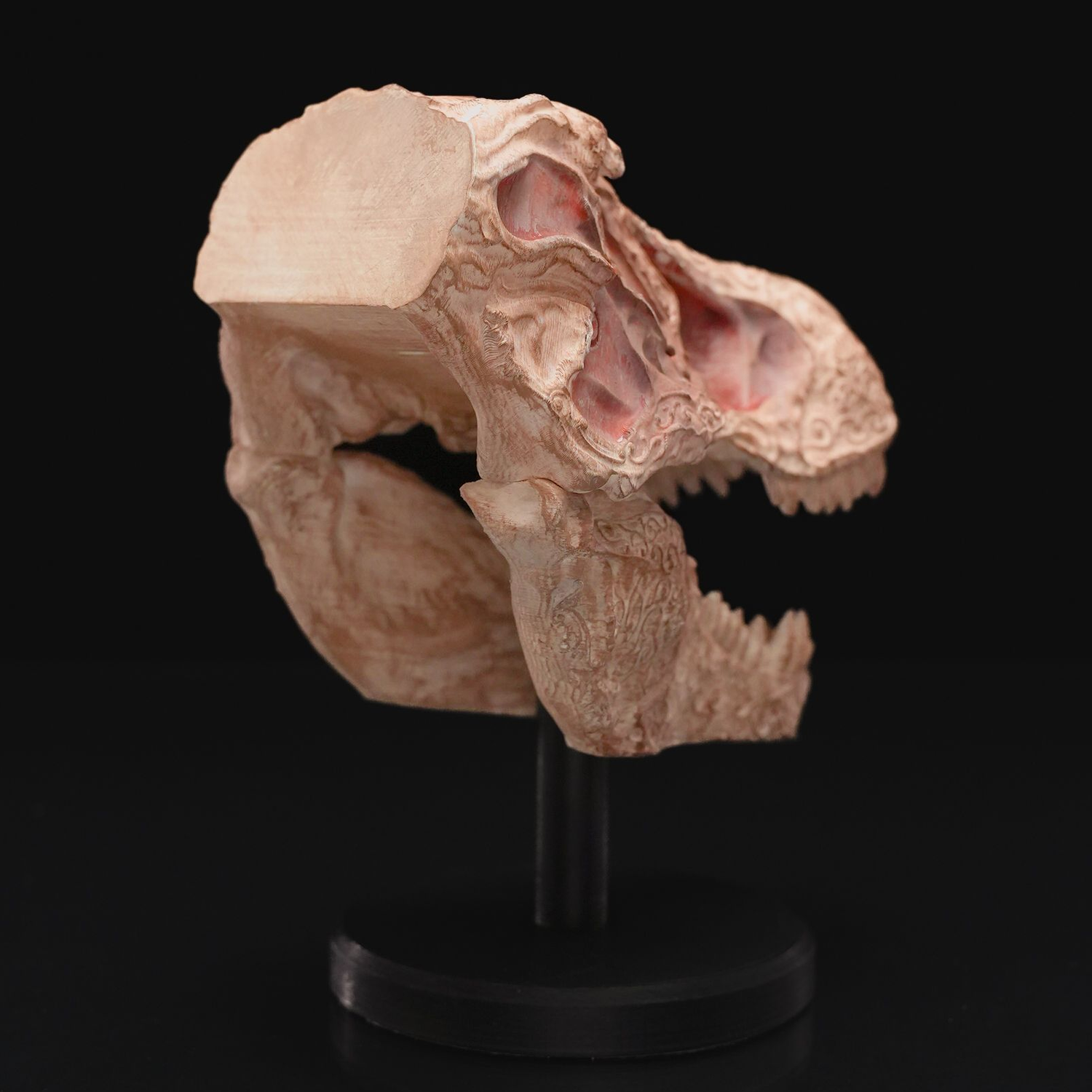 Carved T-Rex Skull