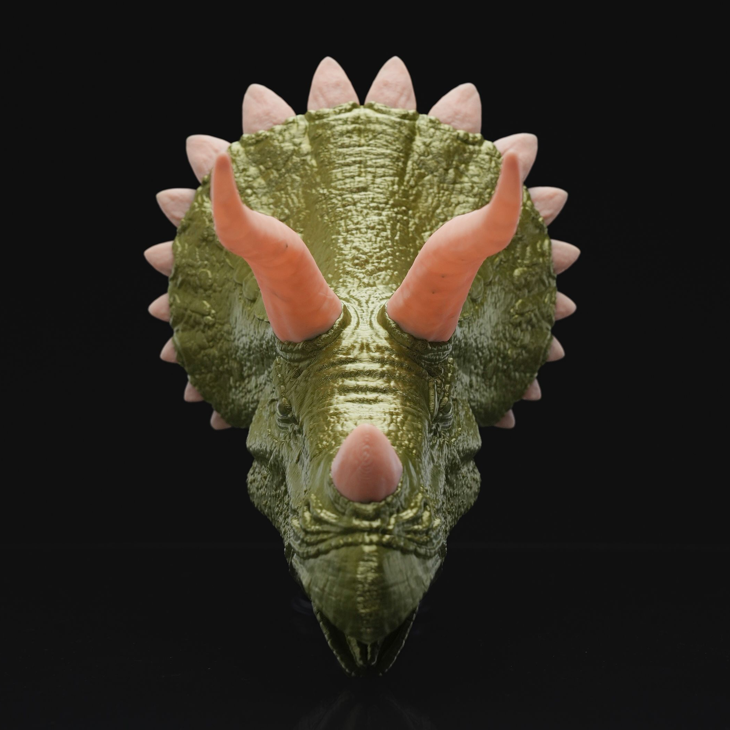 Hanging Triceratops