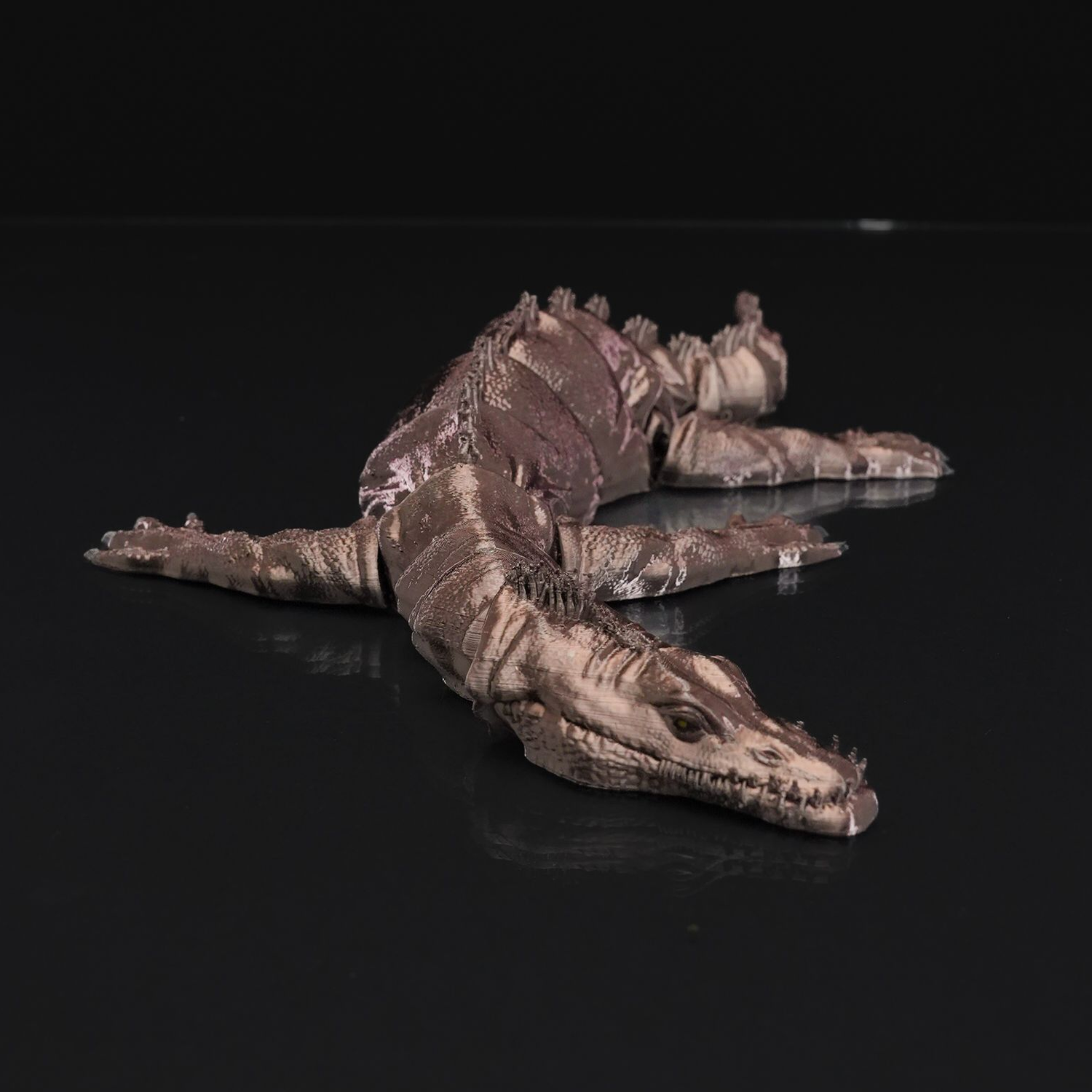 Articulated Nothosaurus