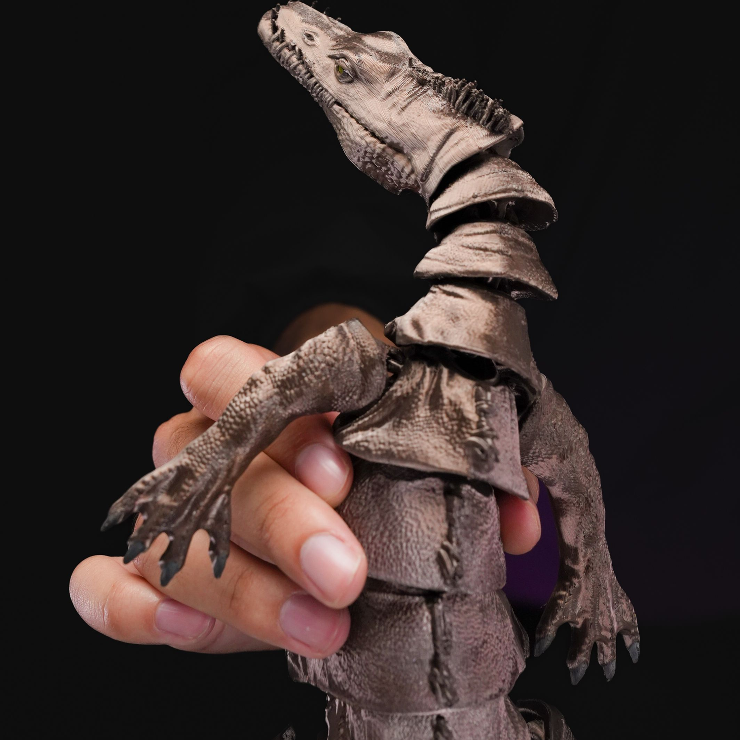 Articulated Nothosaurus