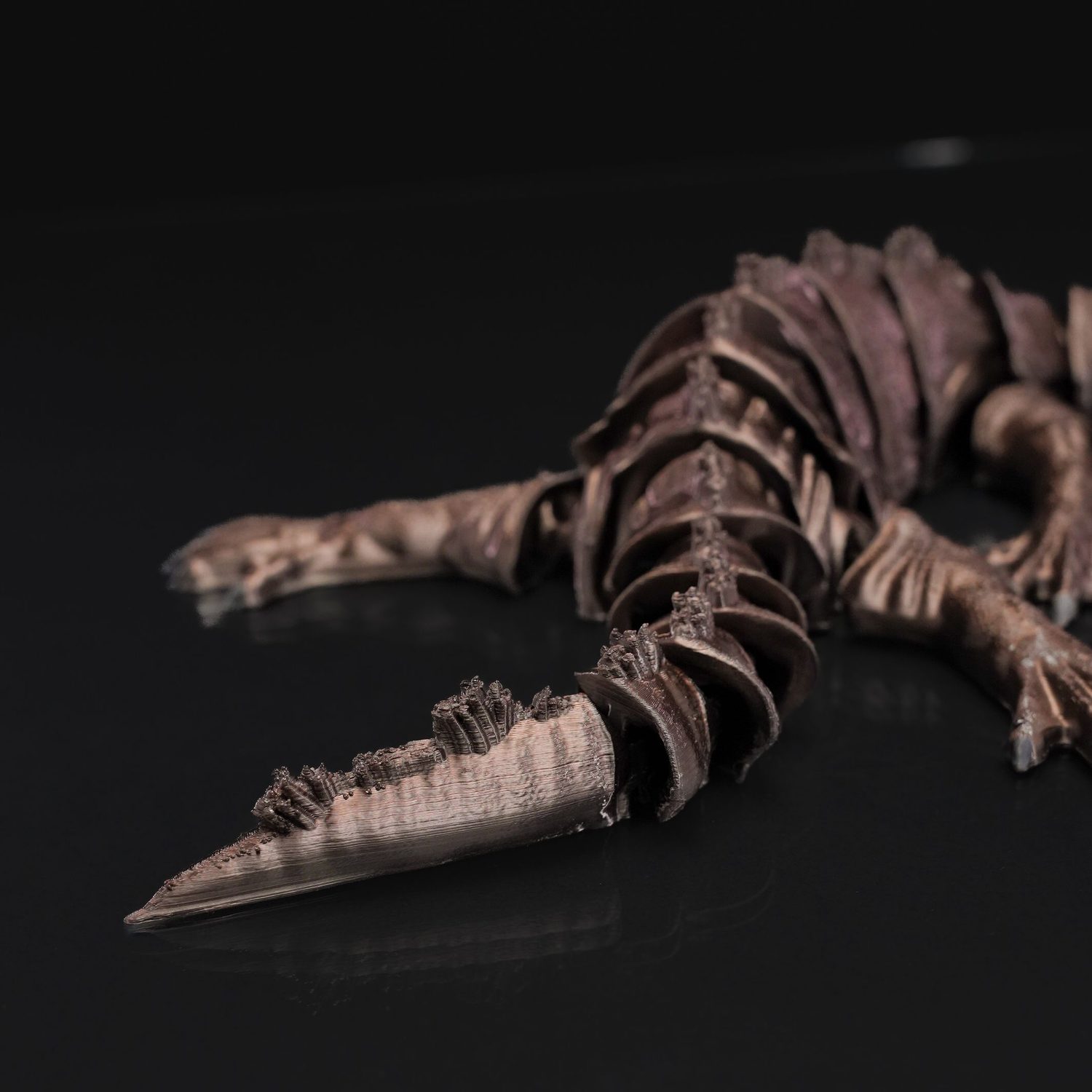 Articulated Nothosaurus