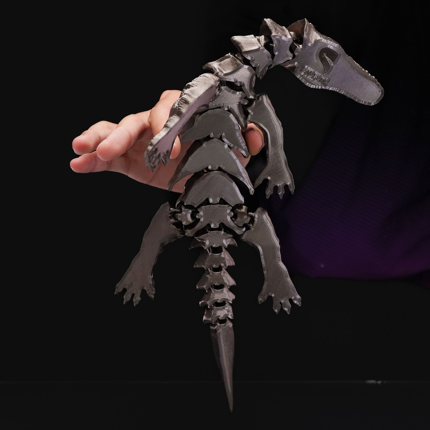 Articulated Nothosaurus