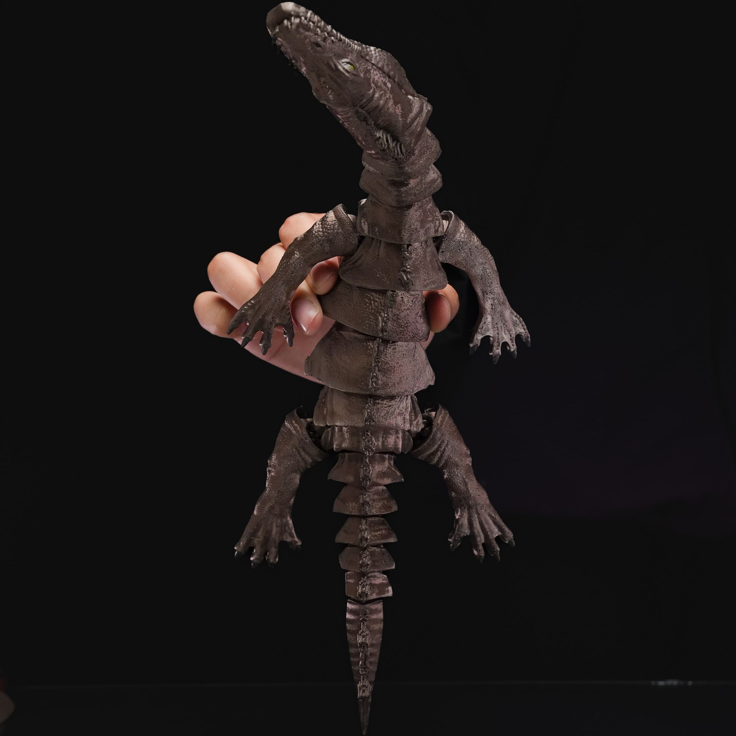Articulated Nothosaurus