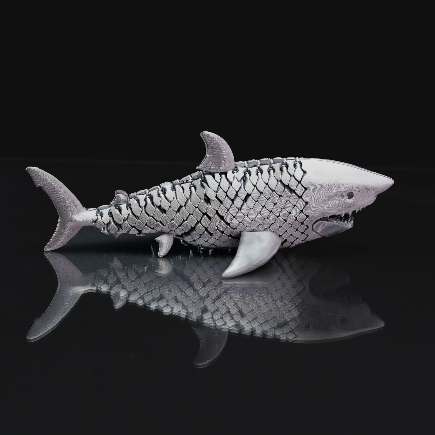 Great White Shark