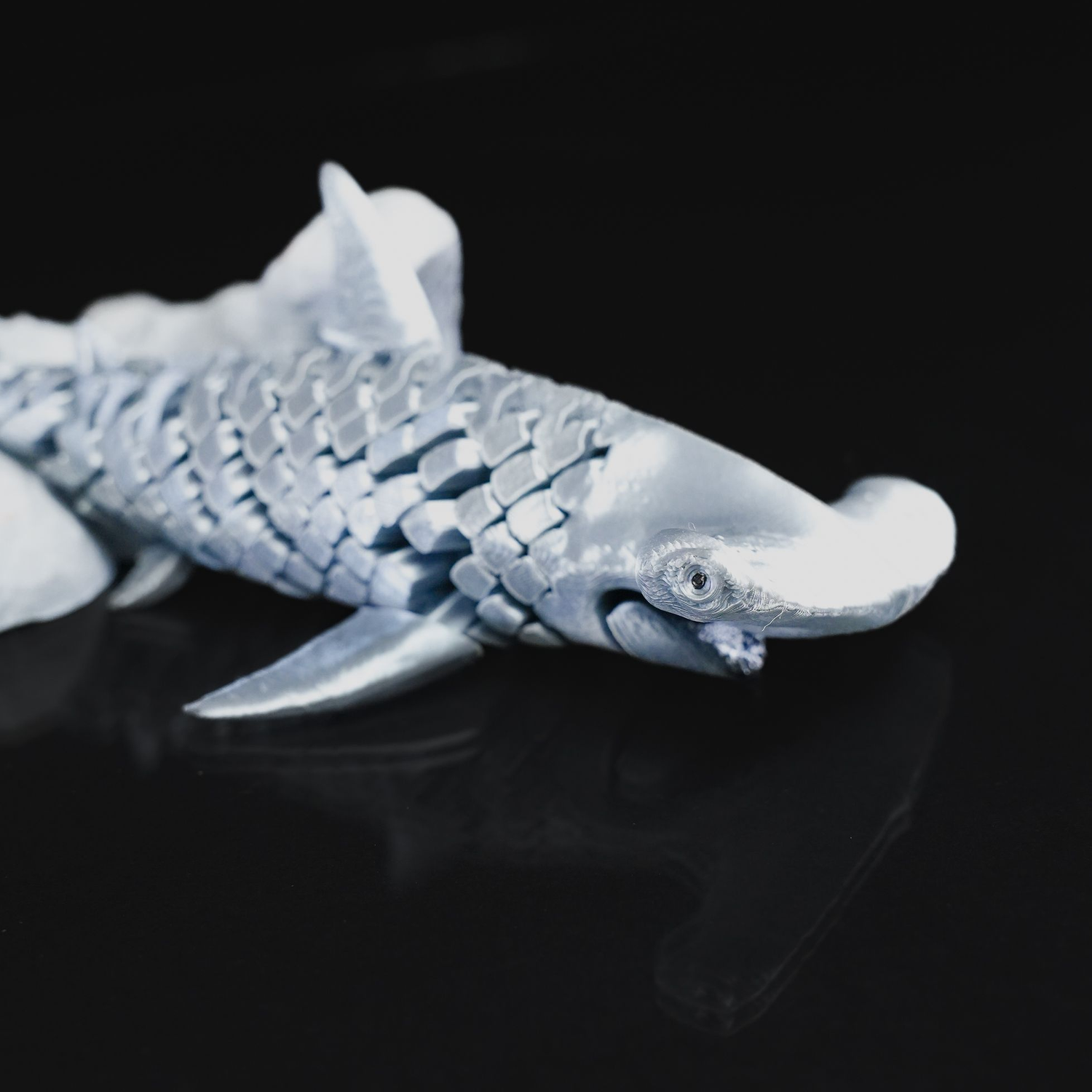 Hammerhead Shark