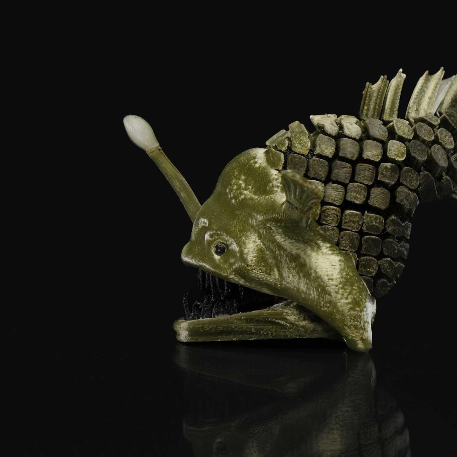 Angler Fish
