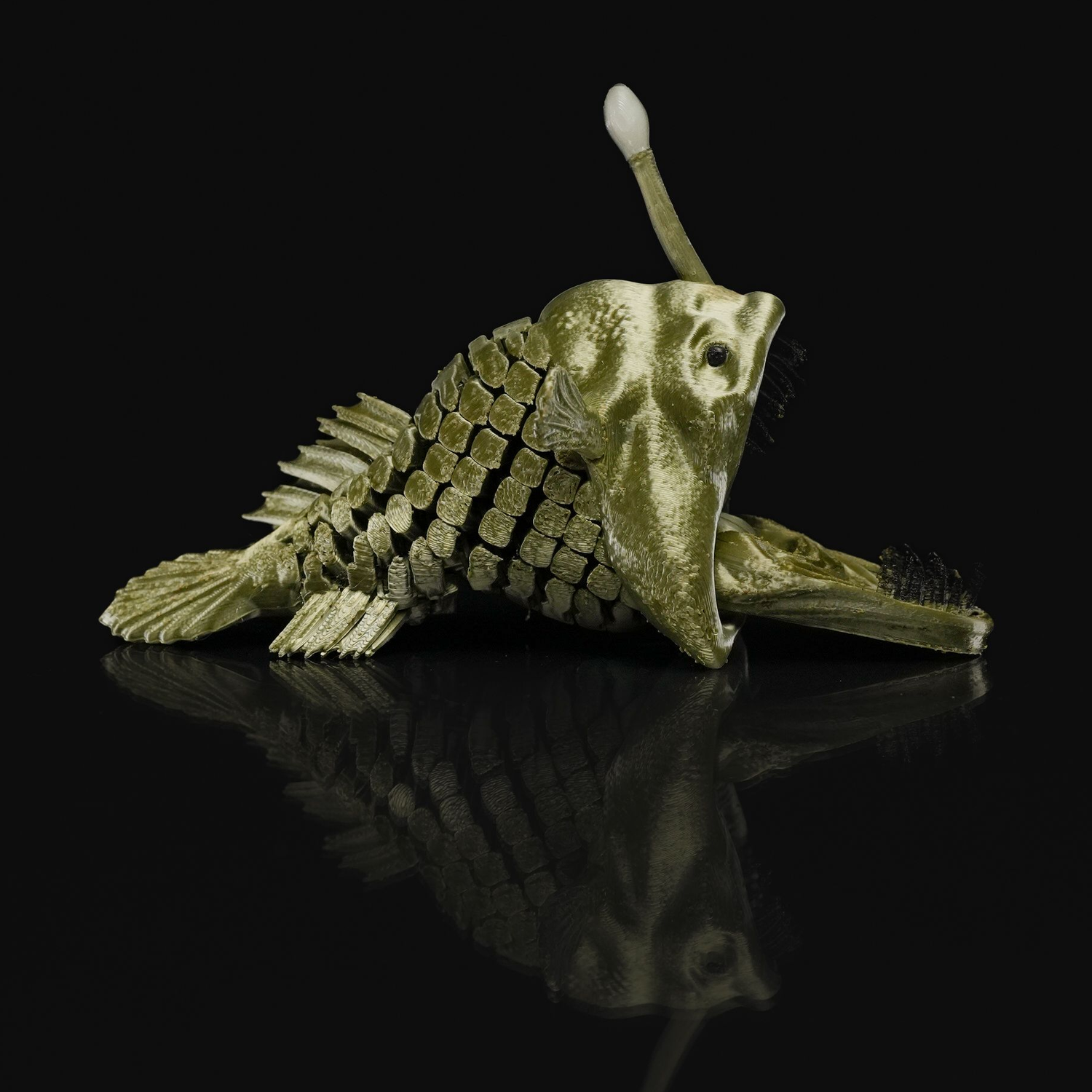 Angler Fish