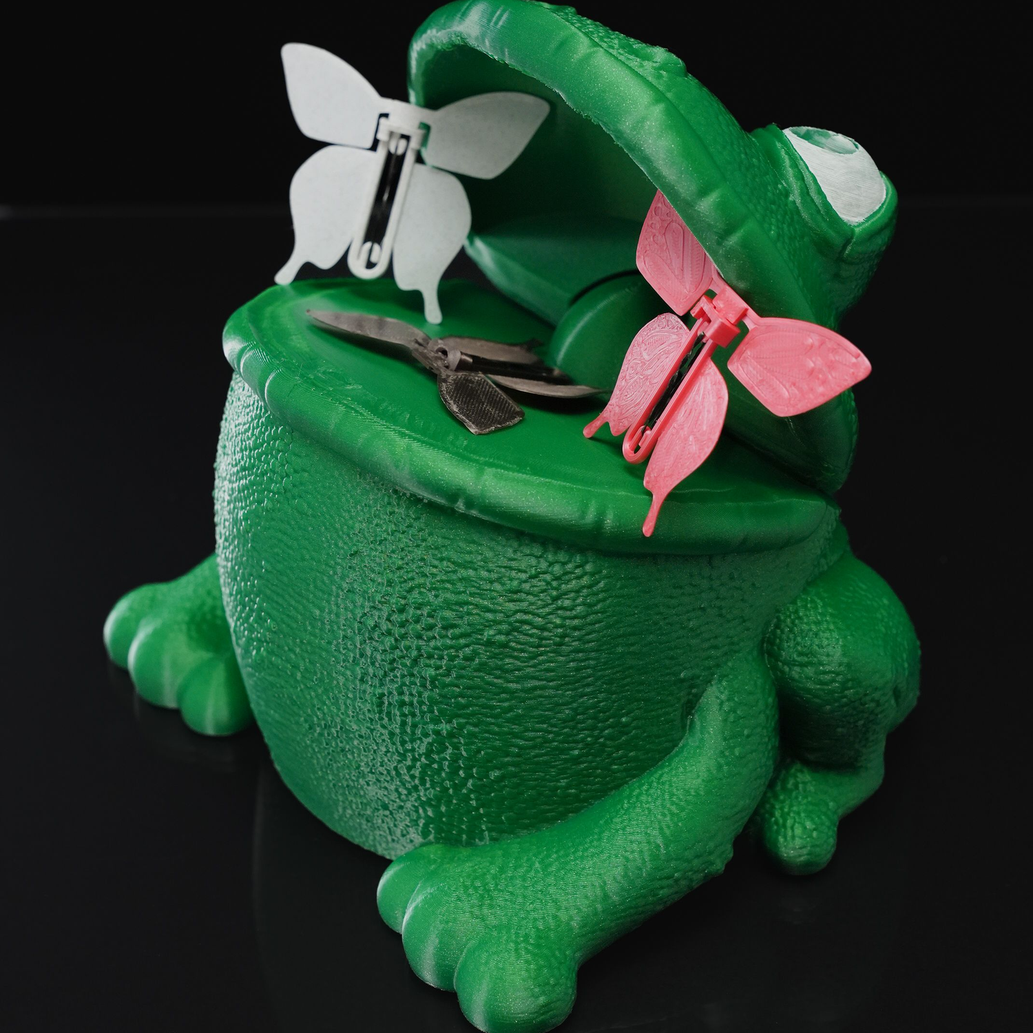 Butterflies in Frog’s Stomach