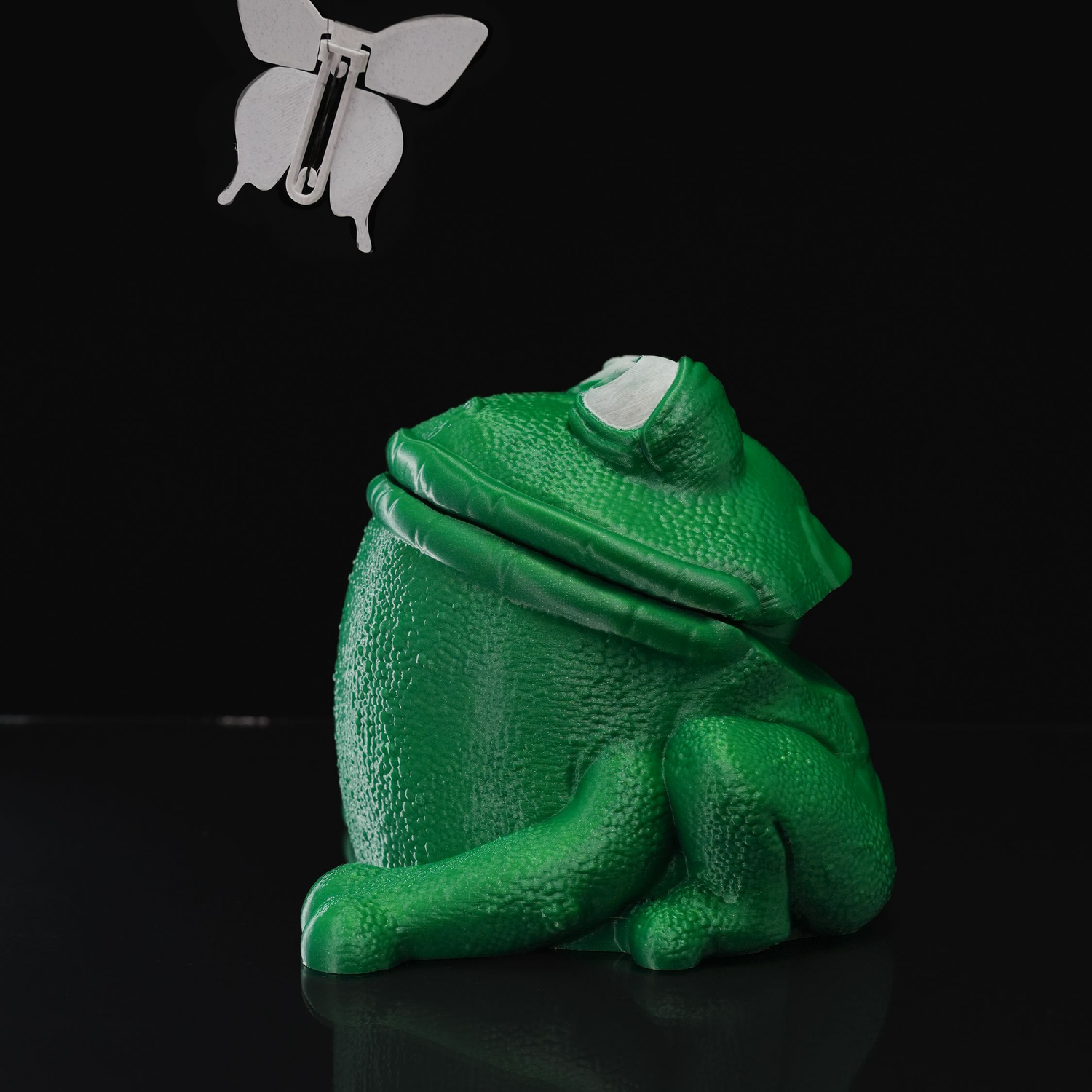 Butterflies in Frog’s Stomach