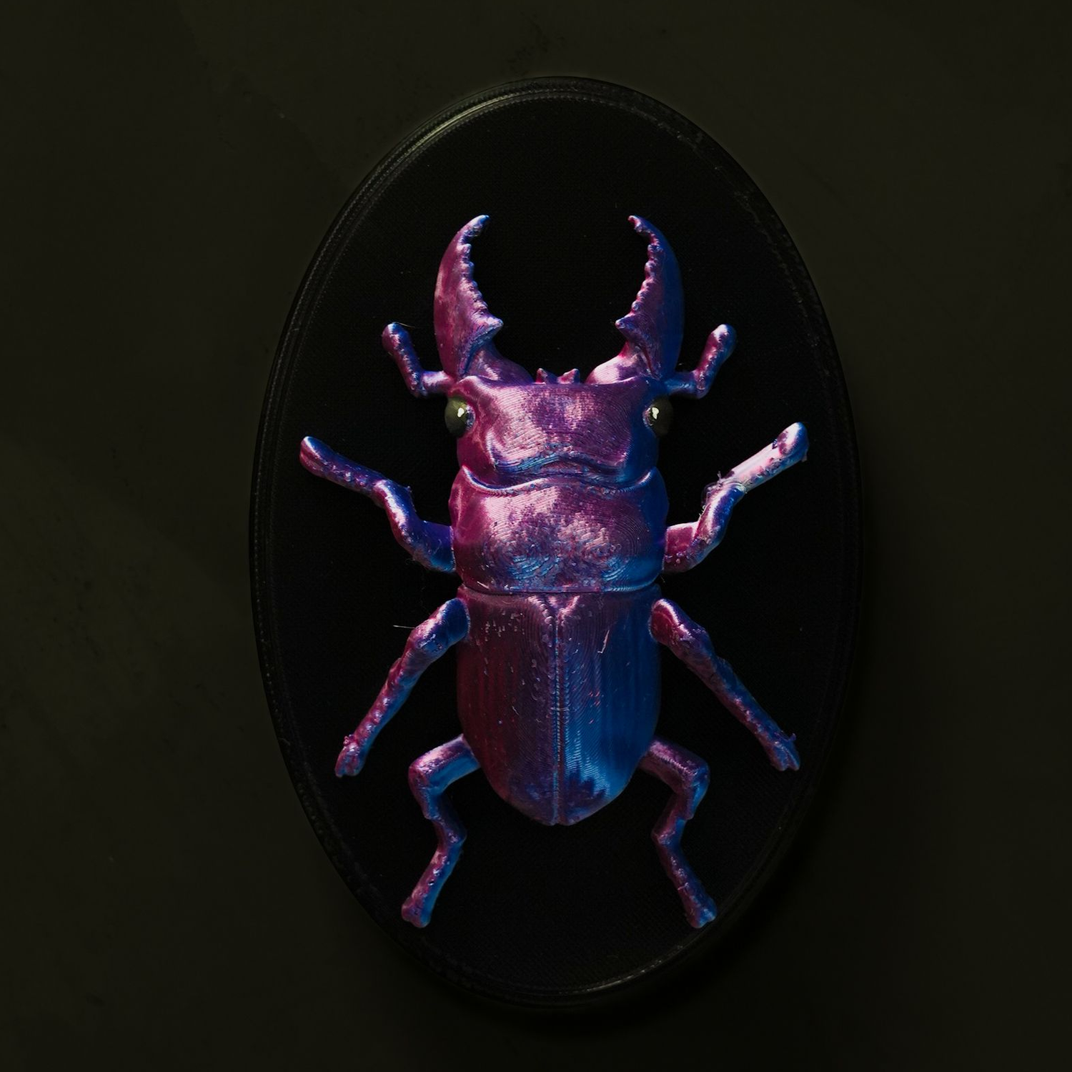 Beetles on the Wall — Stag