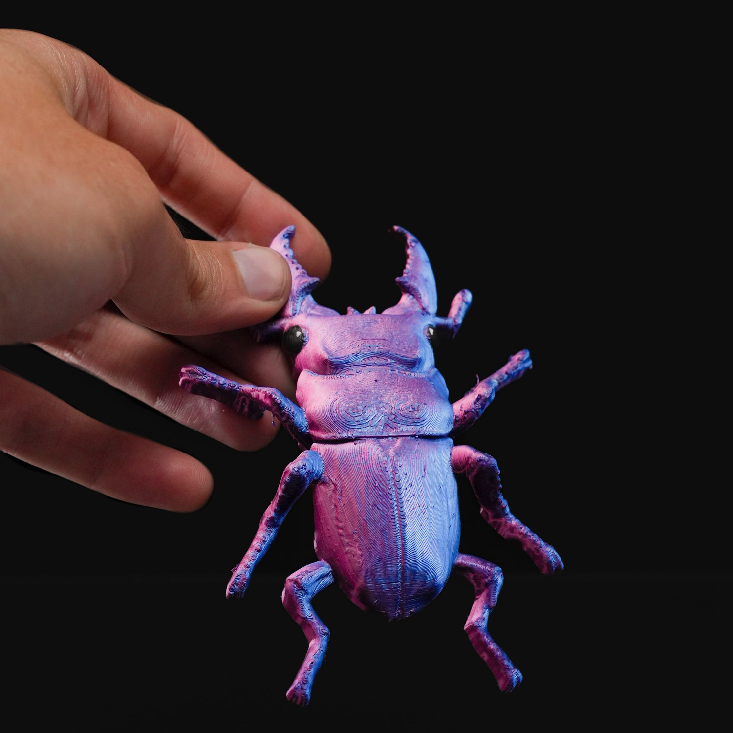 Beetles on the Wall — Stag