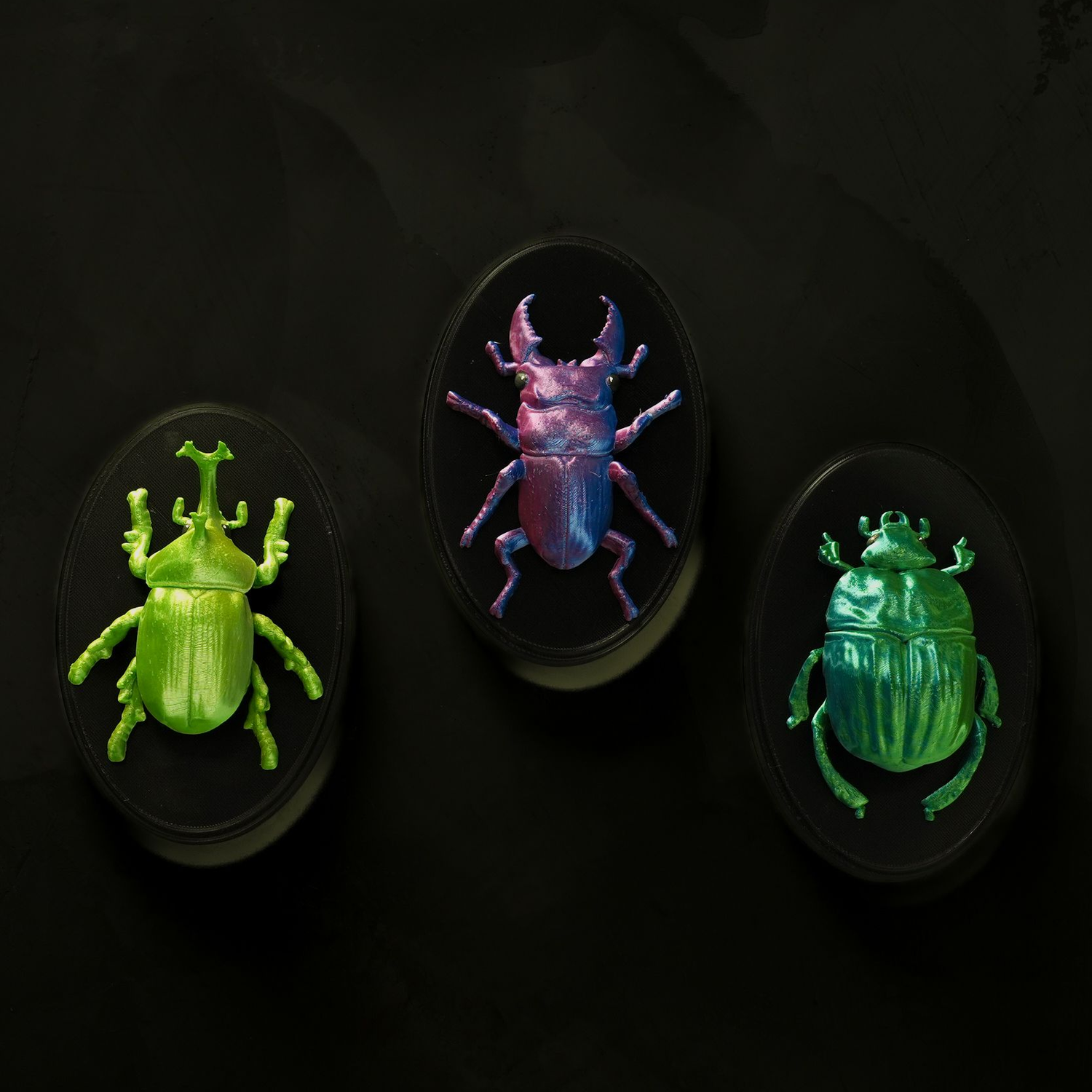 Beetles on the Wall — Rhino