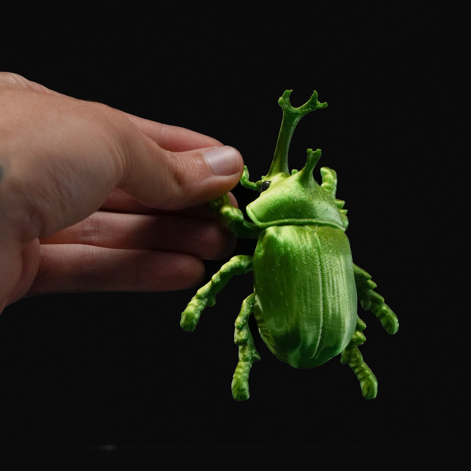 Beetles on the Wall — Rhino