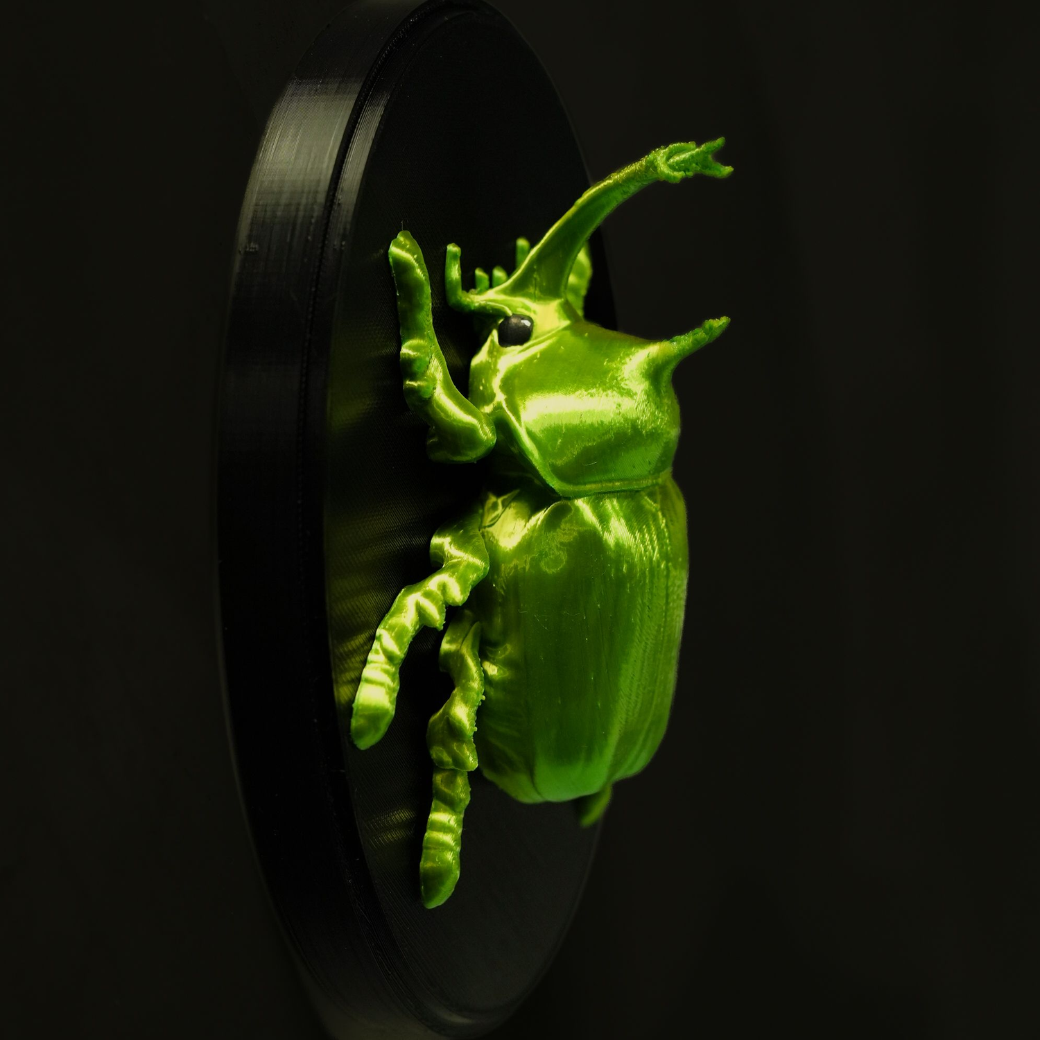 Beetles on the Wall — Rhino