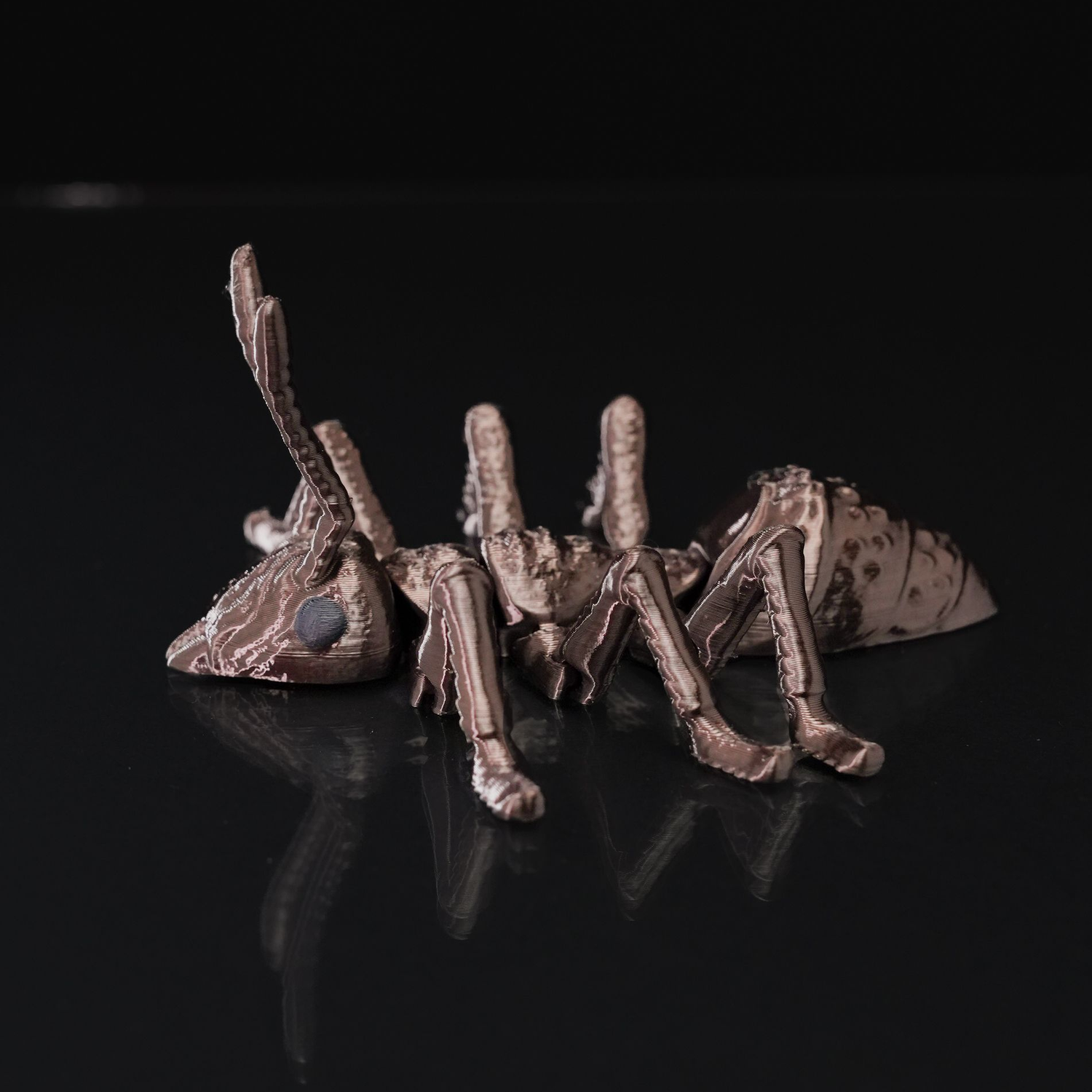 Ant-iculated