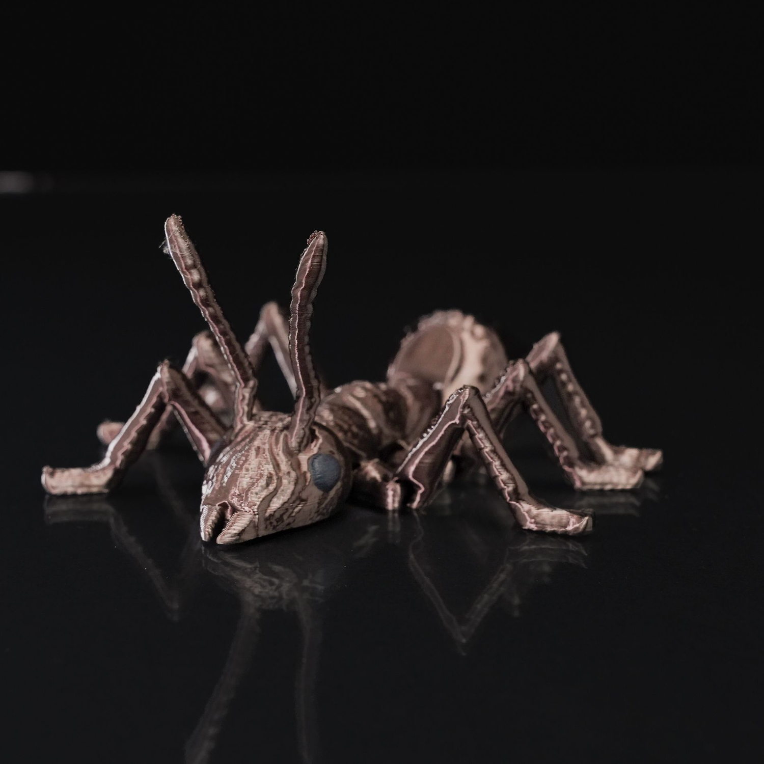 Ant-iculated