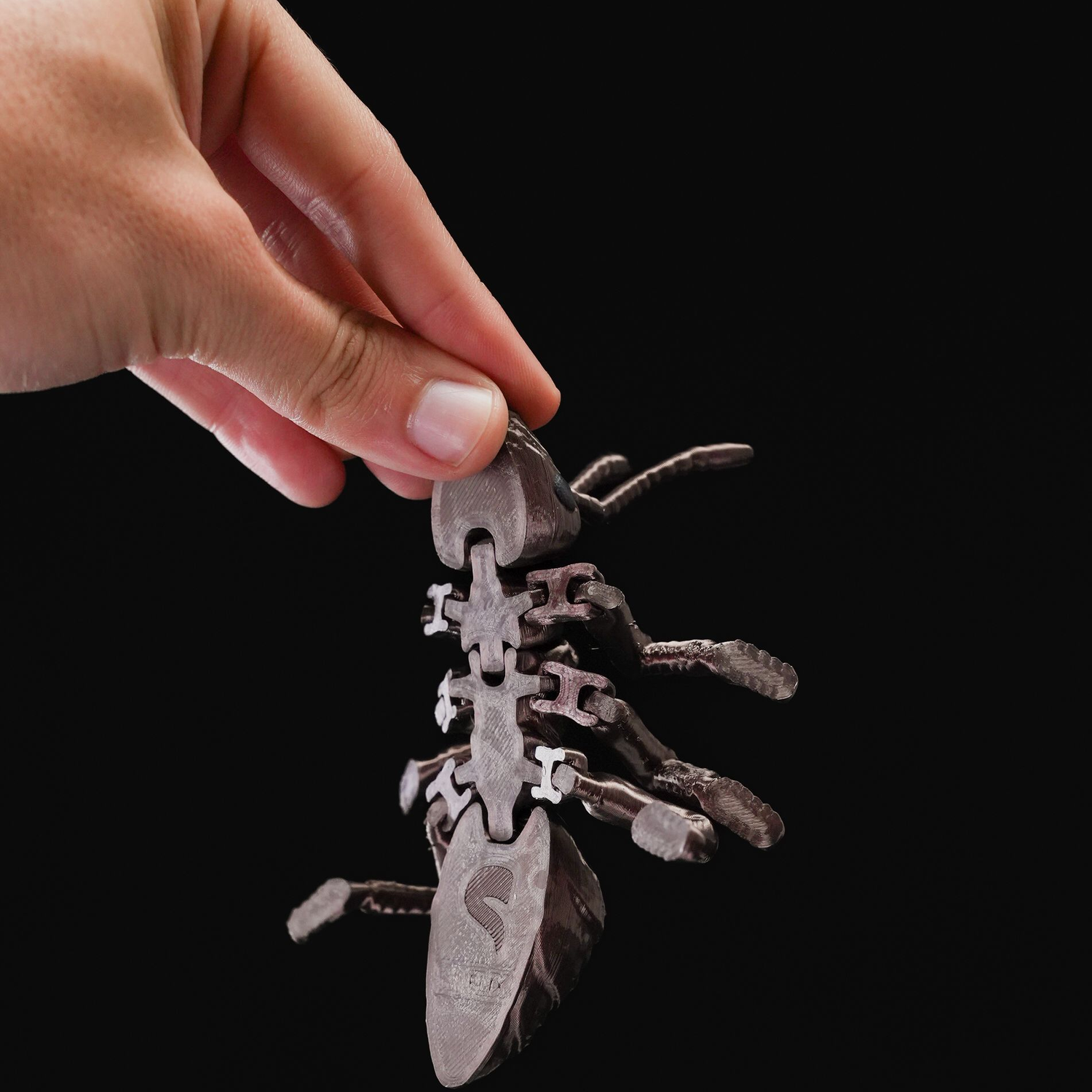 Ant-iculated