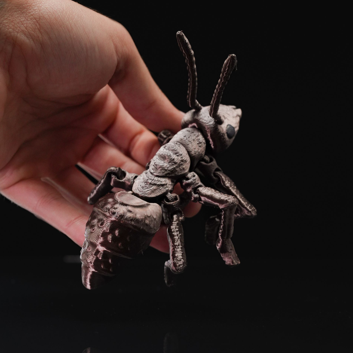 Ant-iculated