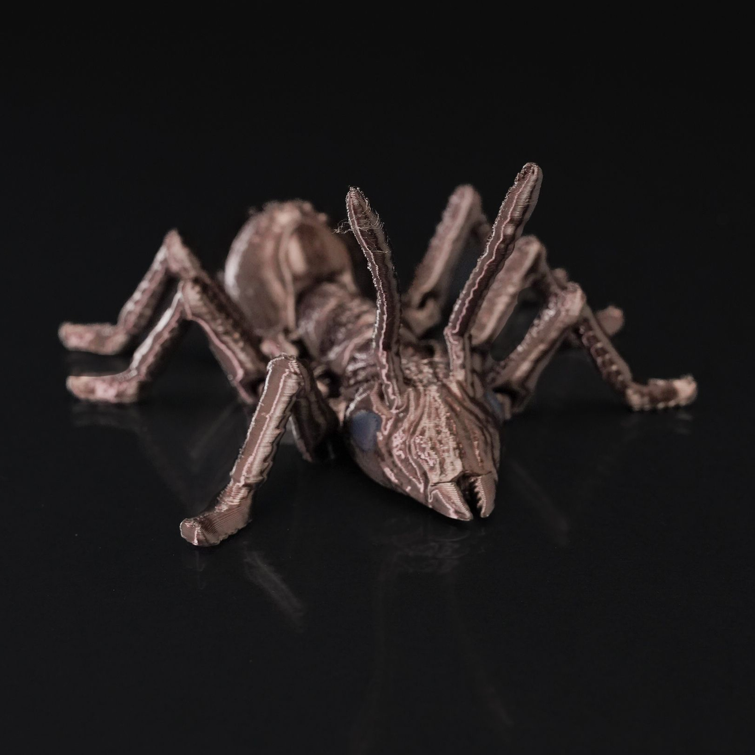 Ant-iculated