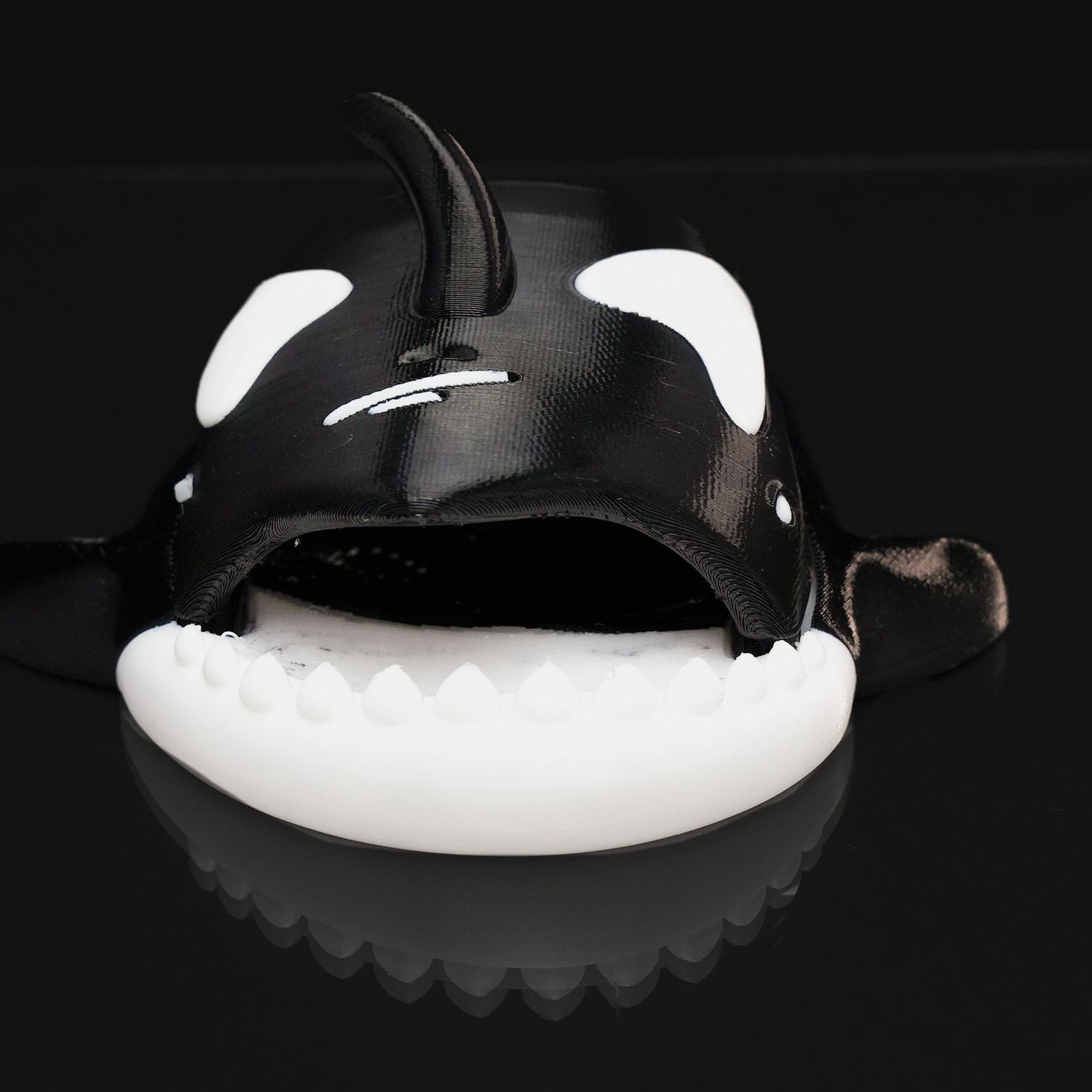 Orca Slider for Kids