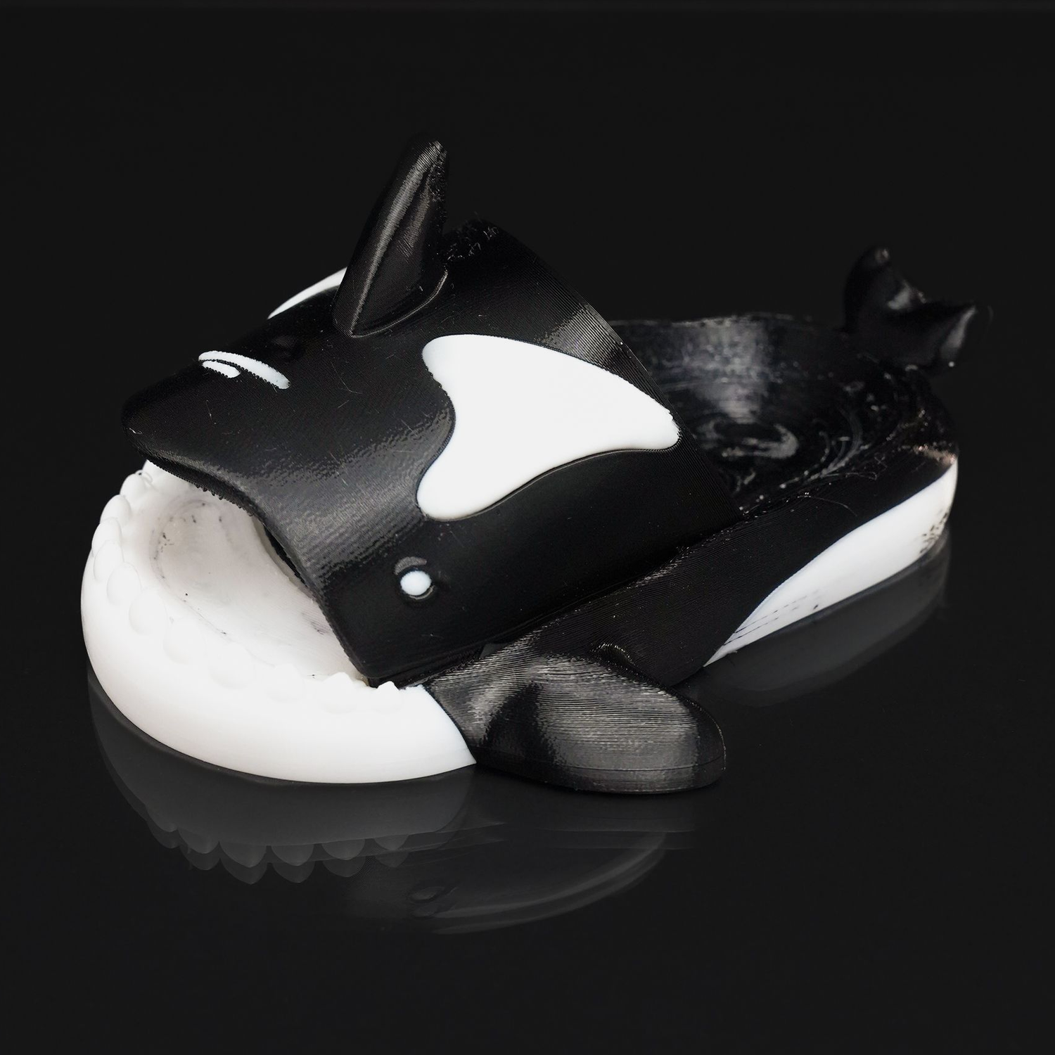 Orca Slider for Kids