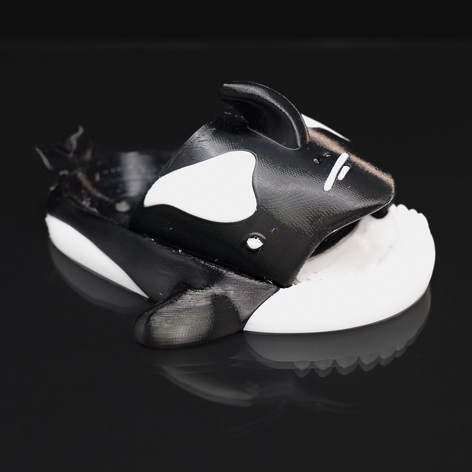 Orca Slider for Kids