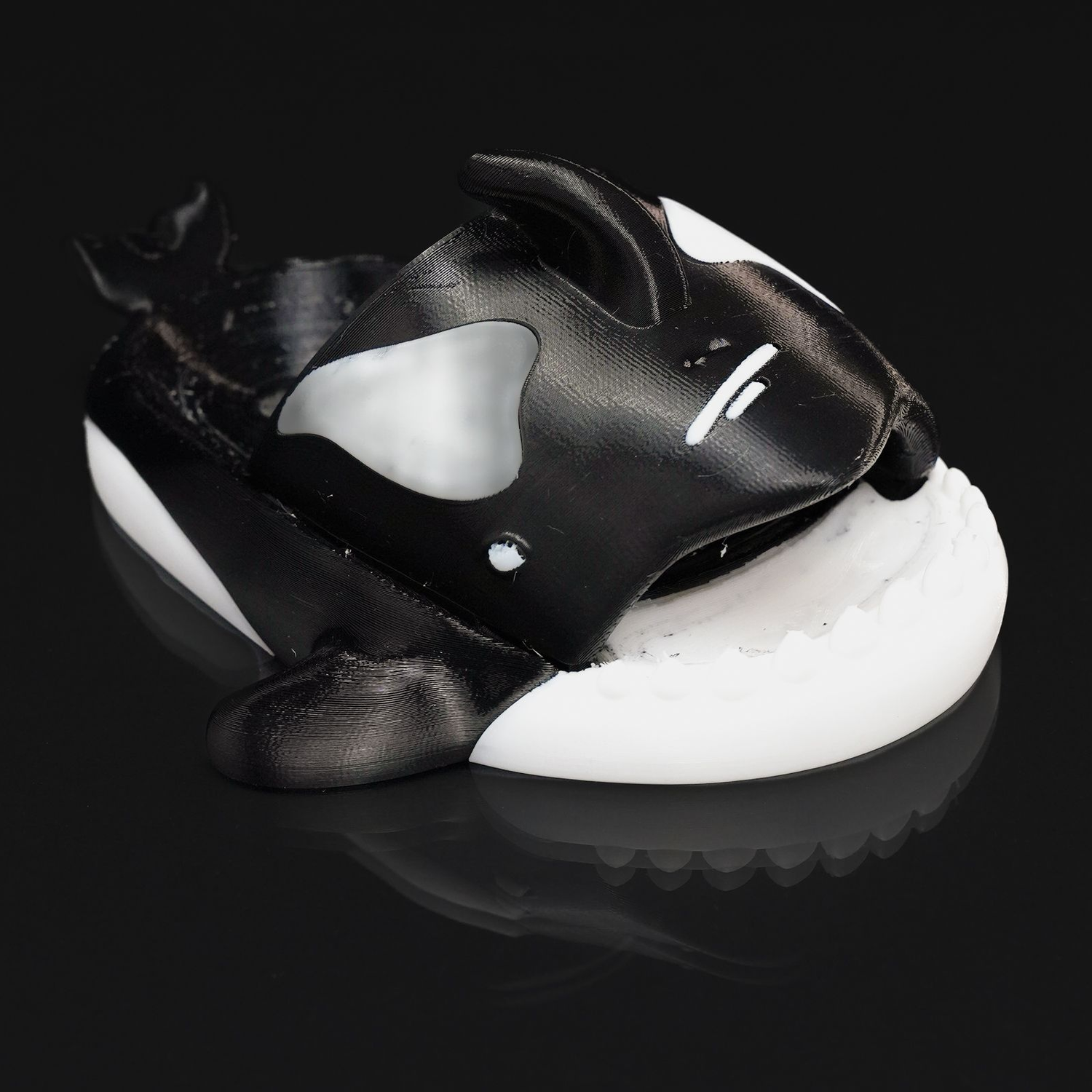 Orca Slider for Kids