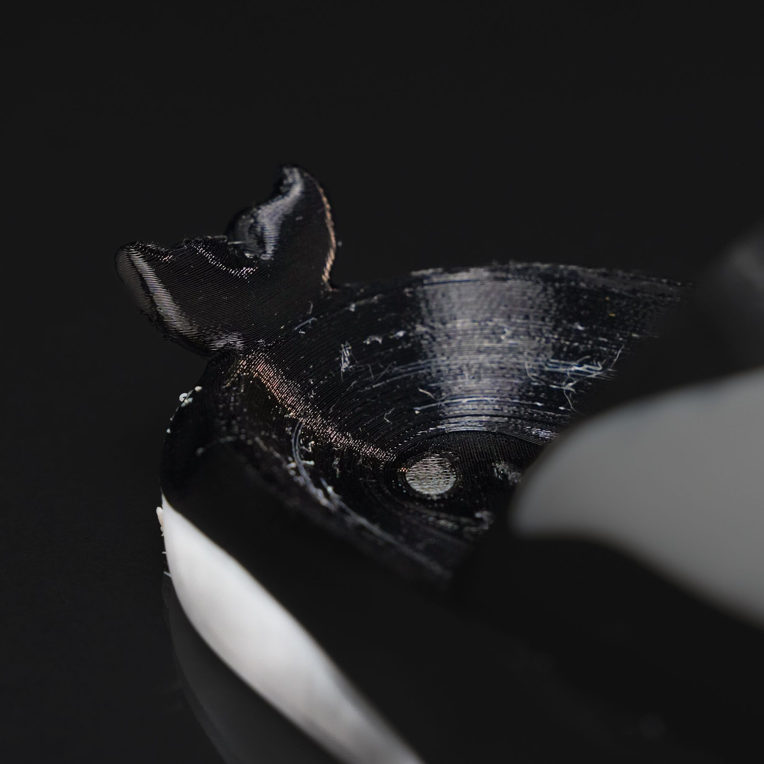 Orca Slider for Kids