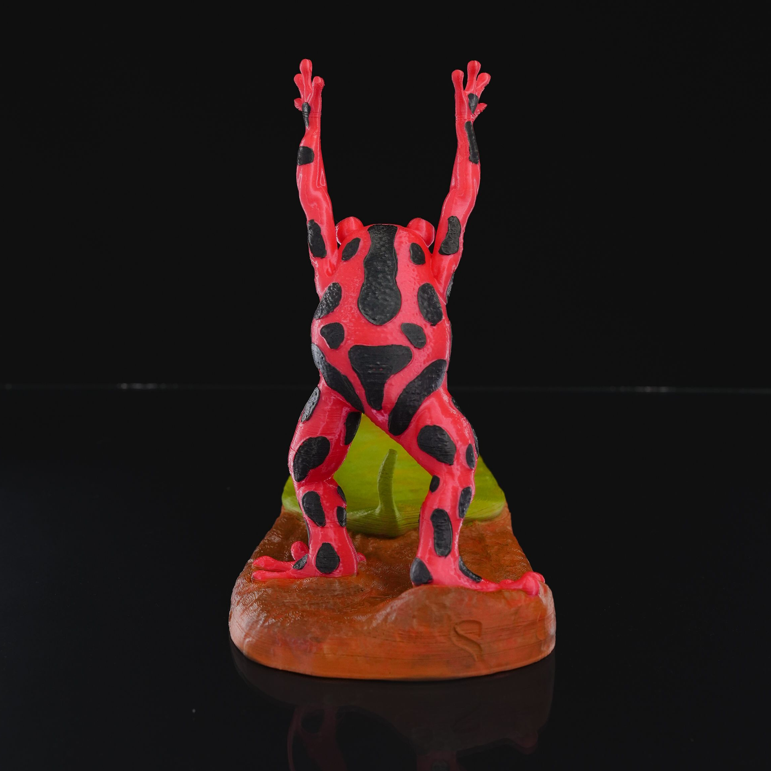 Frog Wine Soporte 1