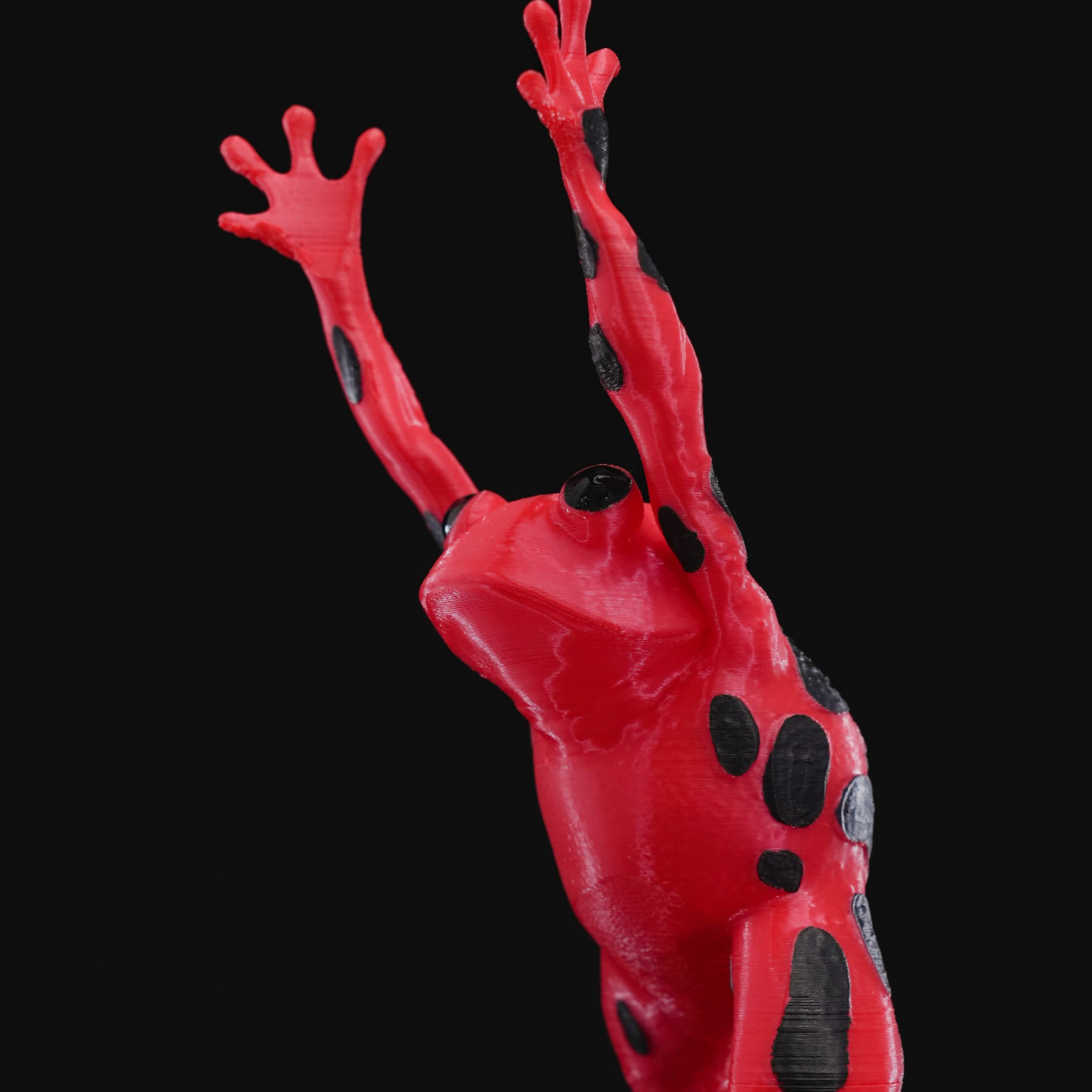 Frog Wine Soporte 1