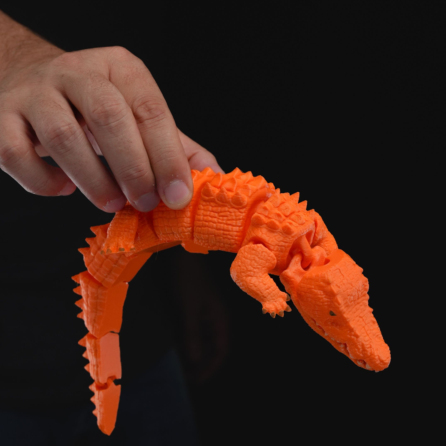 Articulated Crocodile