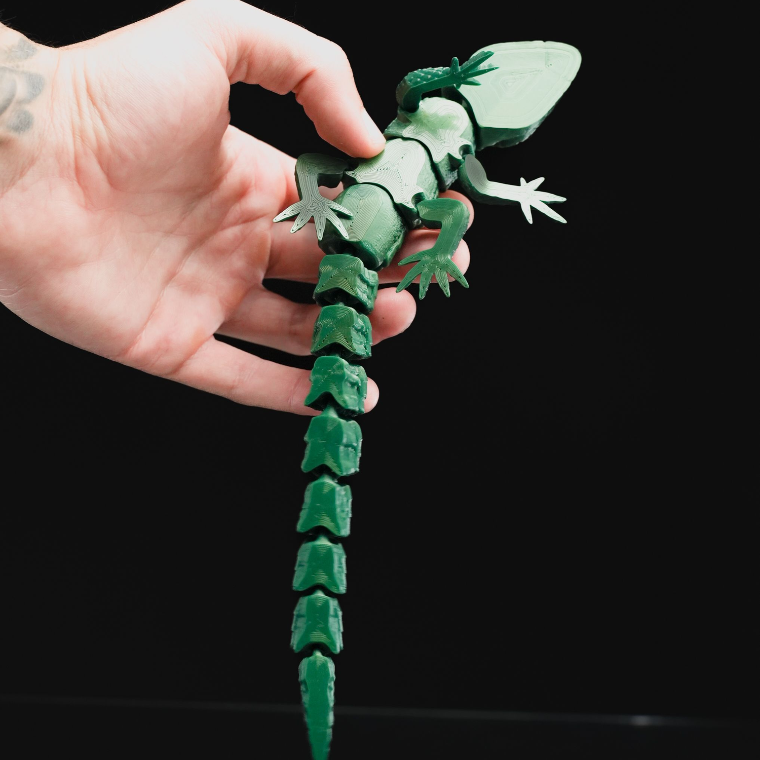 Articulated Lizard