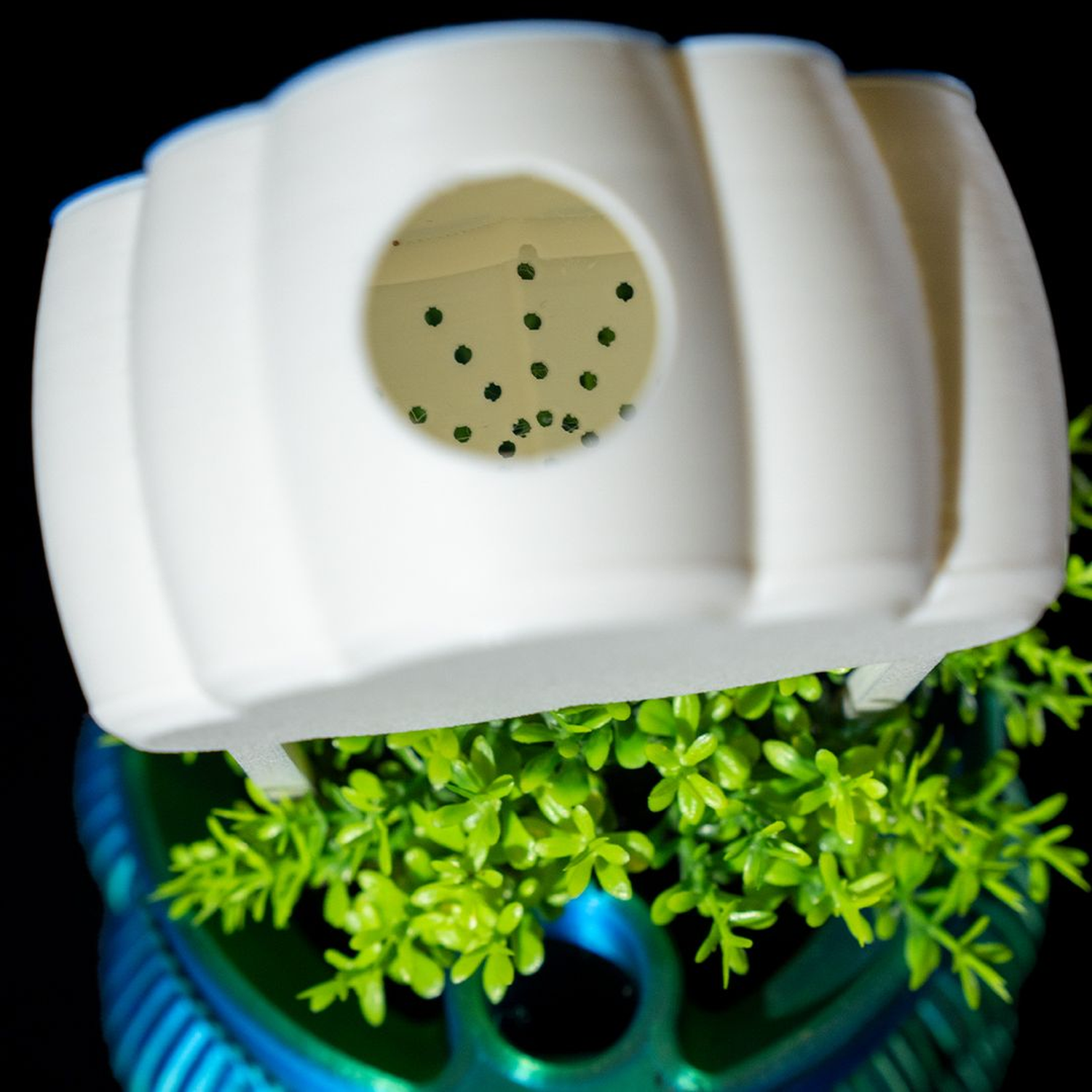 Rain Cloud Plant Waterer