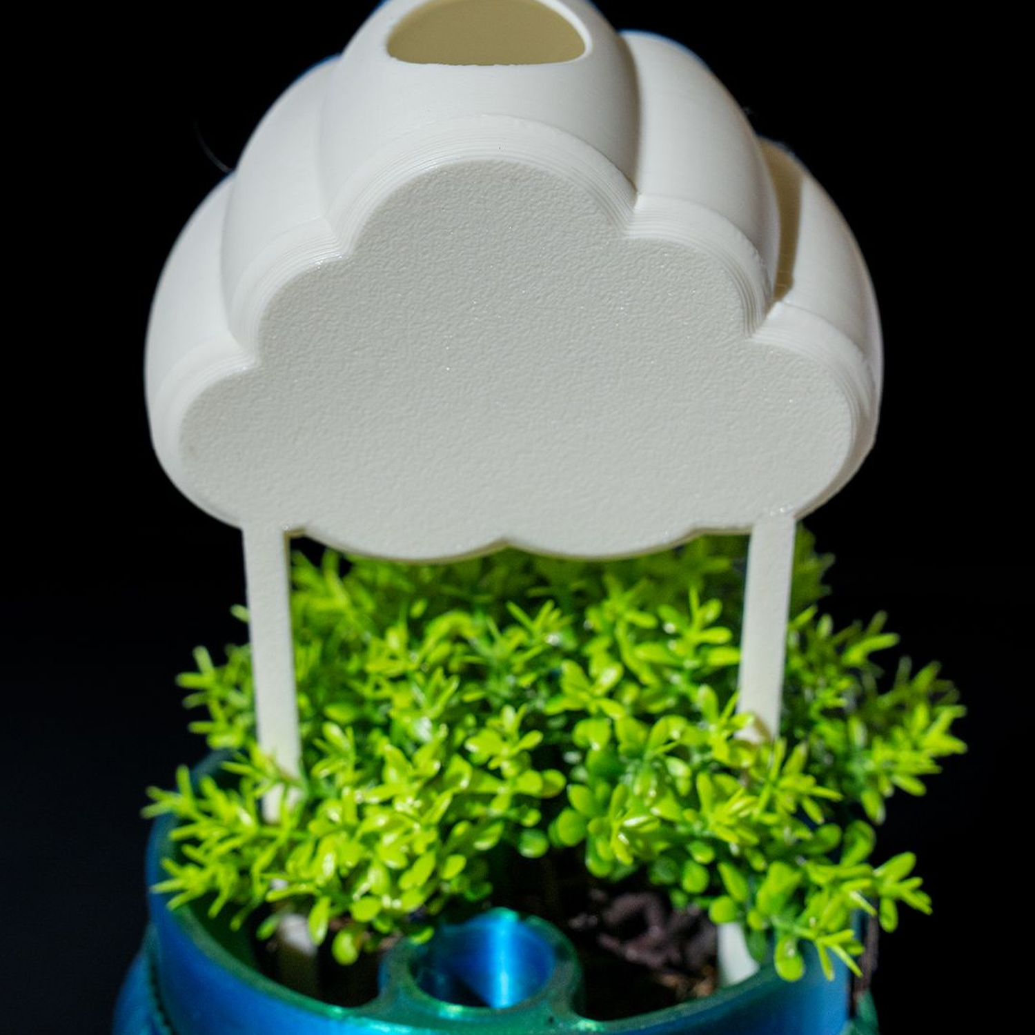 Rain Cloud Plant Waterer