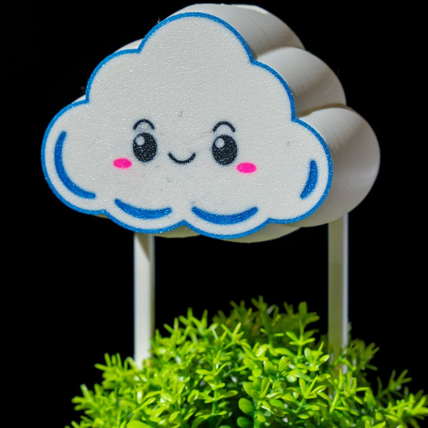 Rain Cloud Plant Waterer
