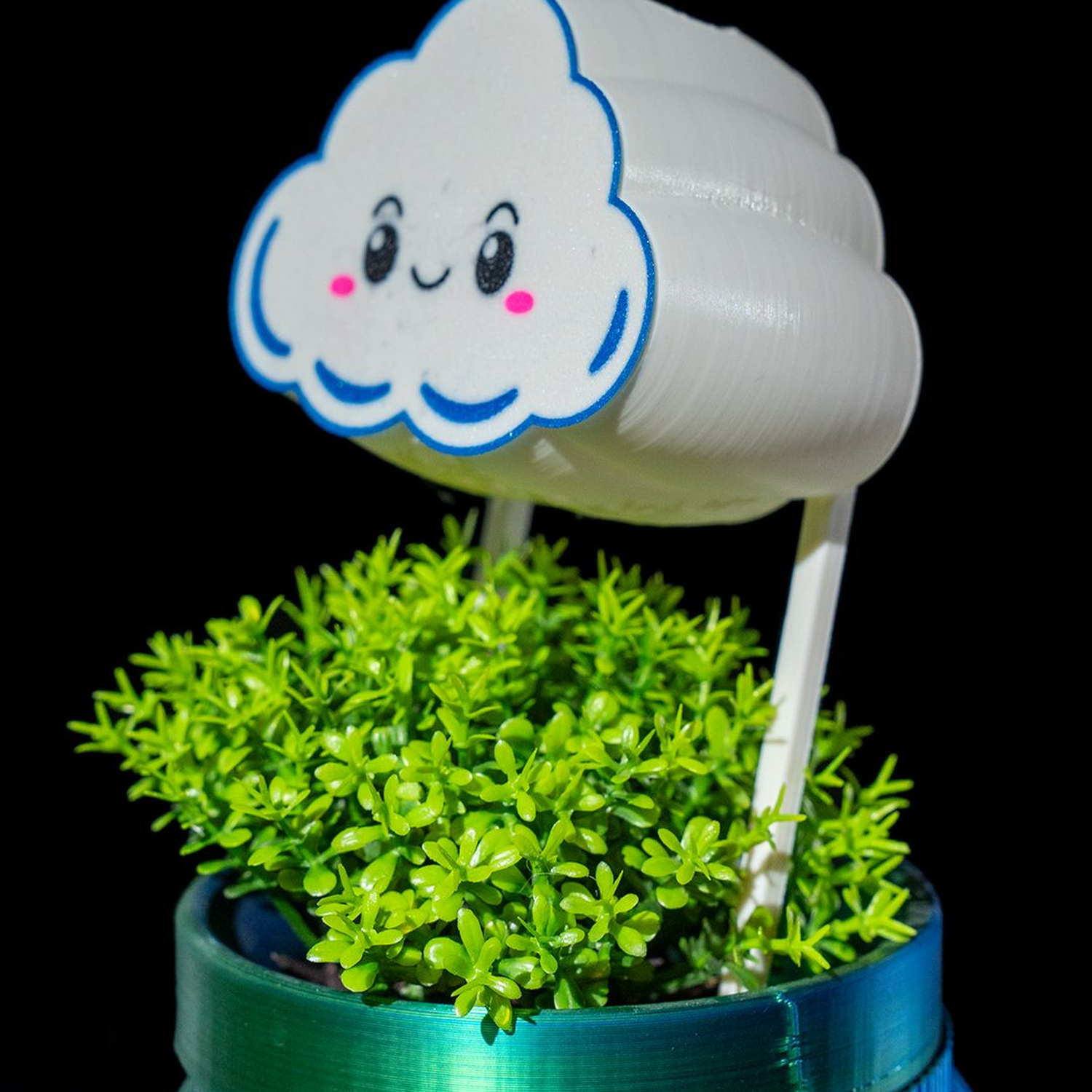 Rain Cloud Plant Waterer
