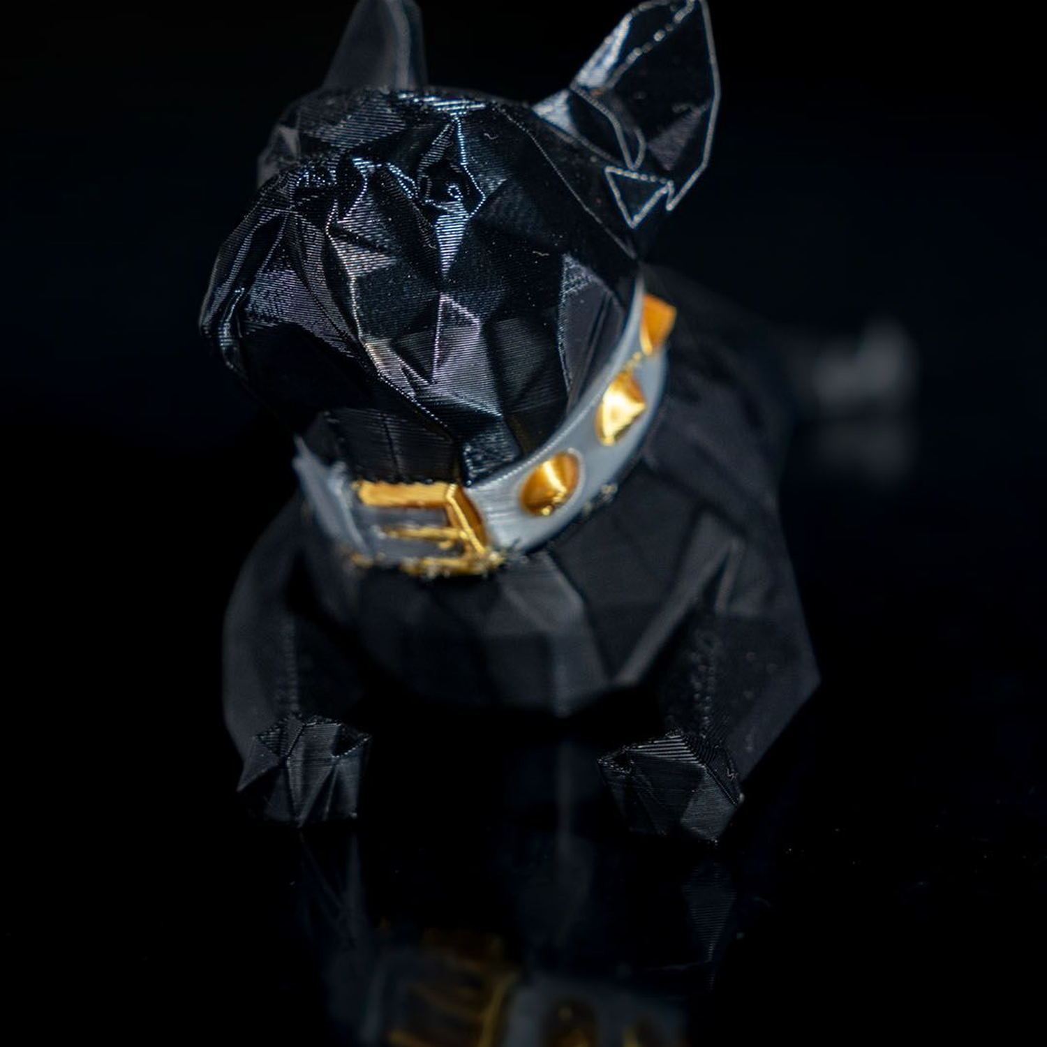 Dennis, the French Bulldog