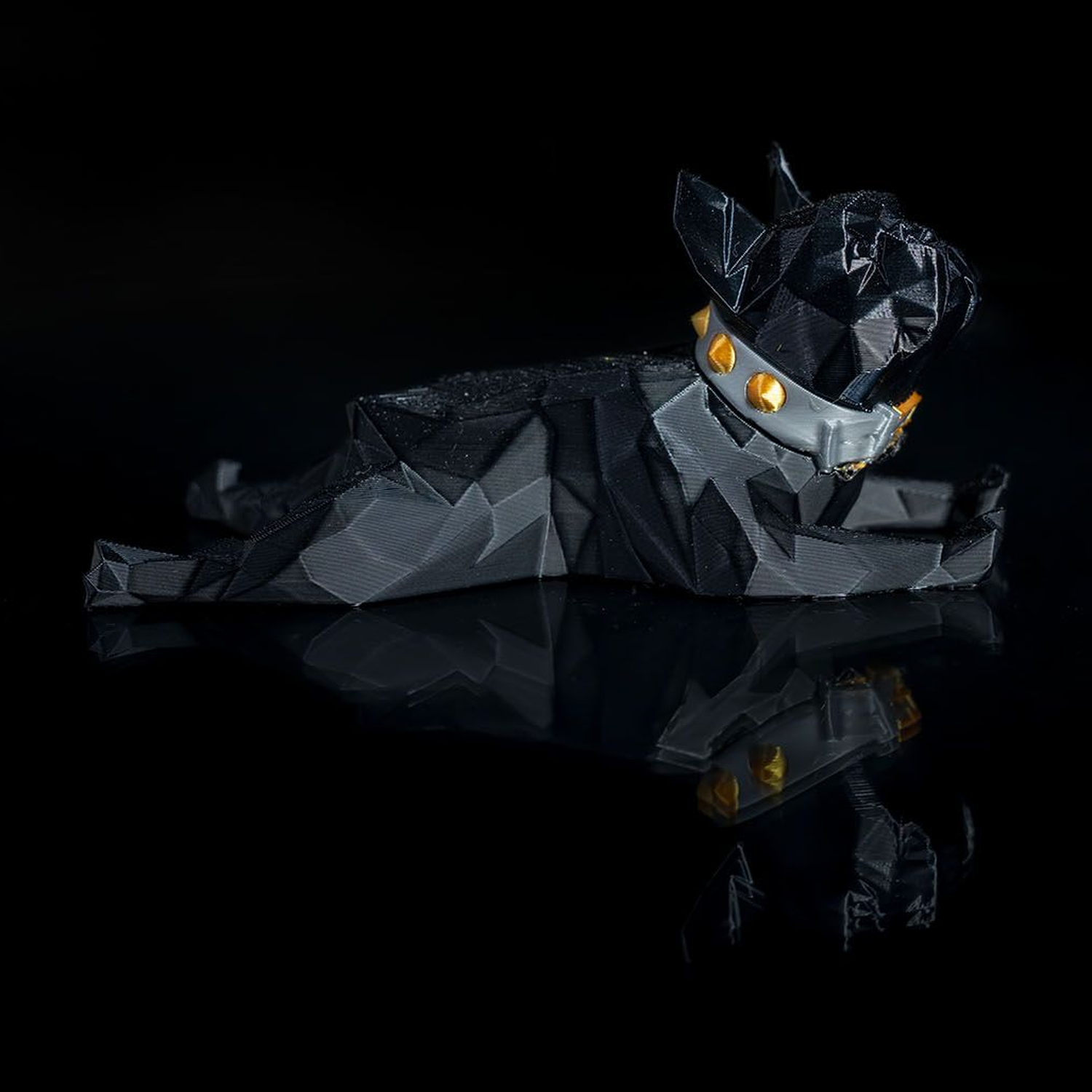 Dennis, the French Bulldog