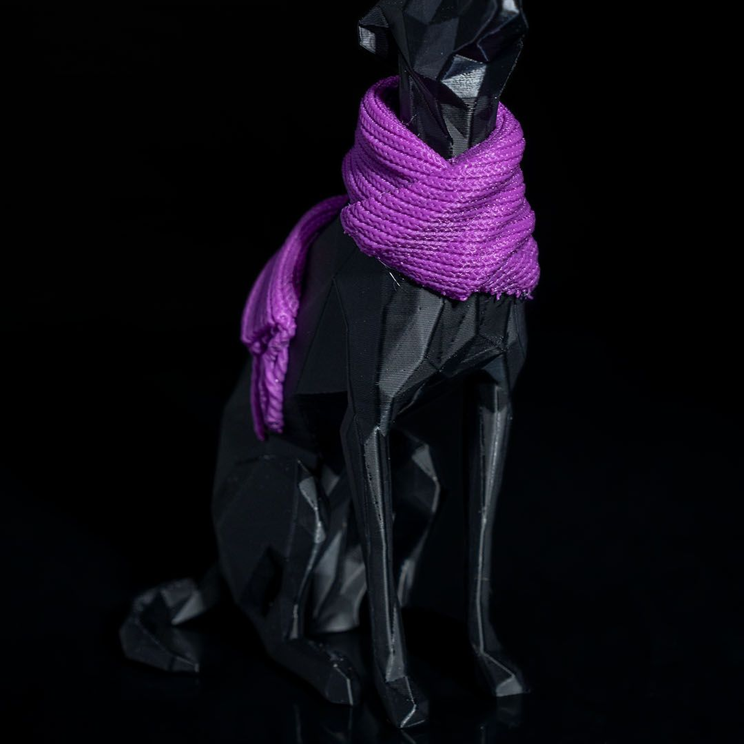 Milly, the Whippet
