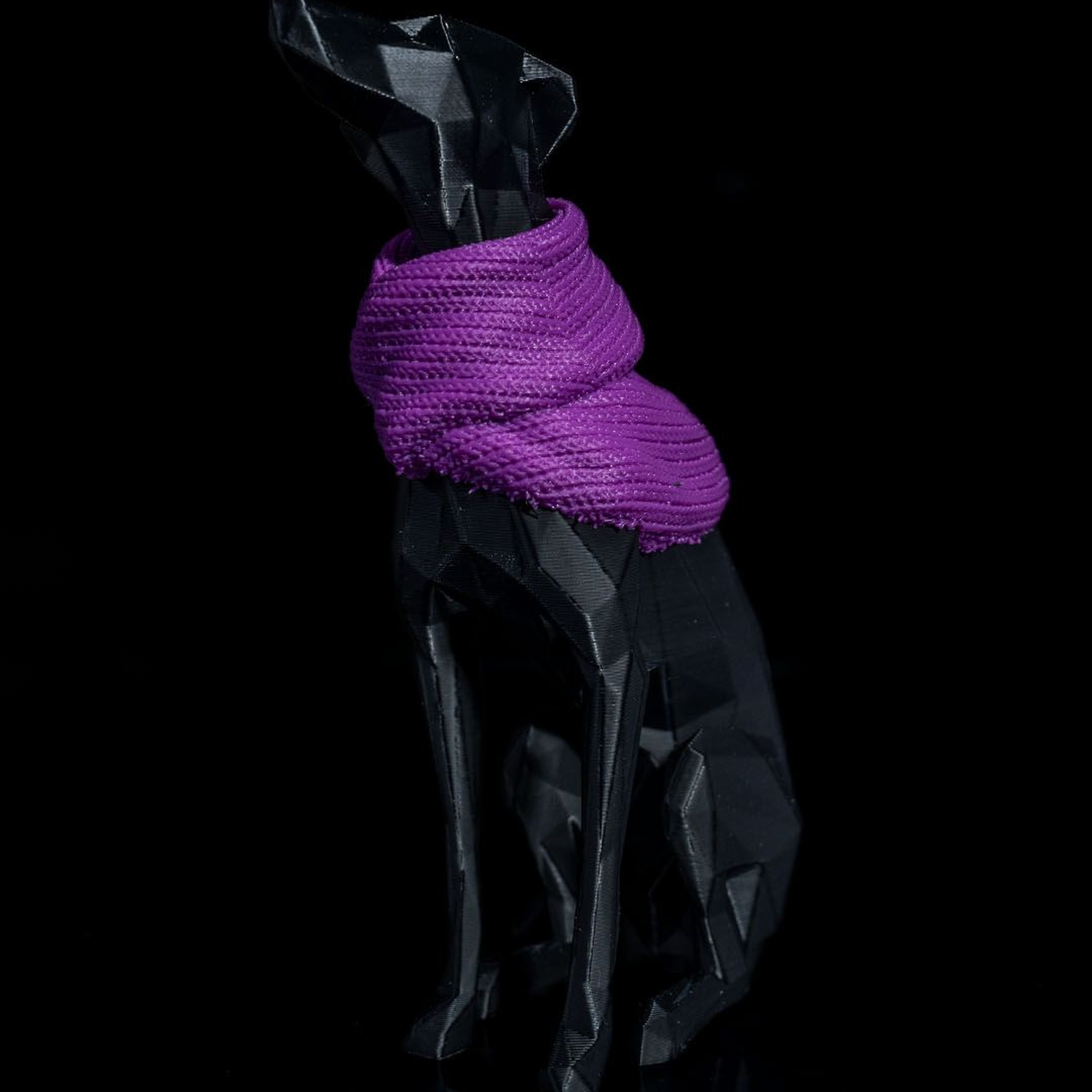 Milly, the Whippet