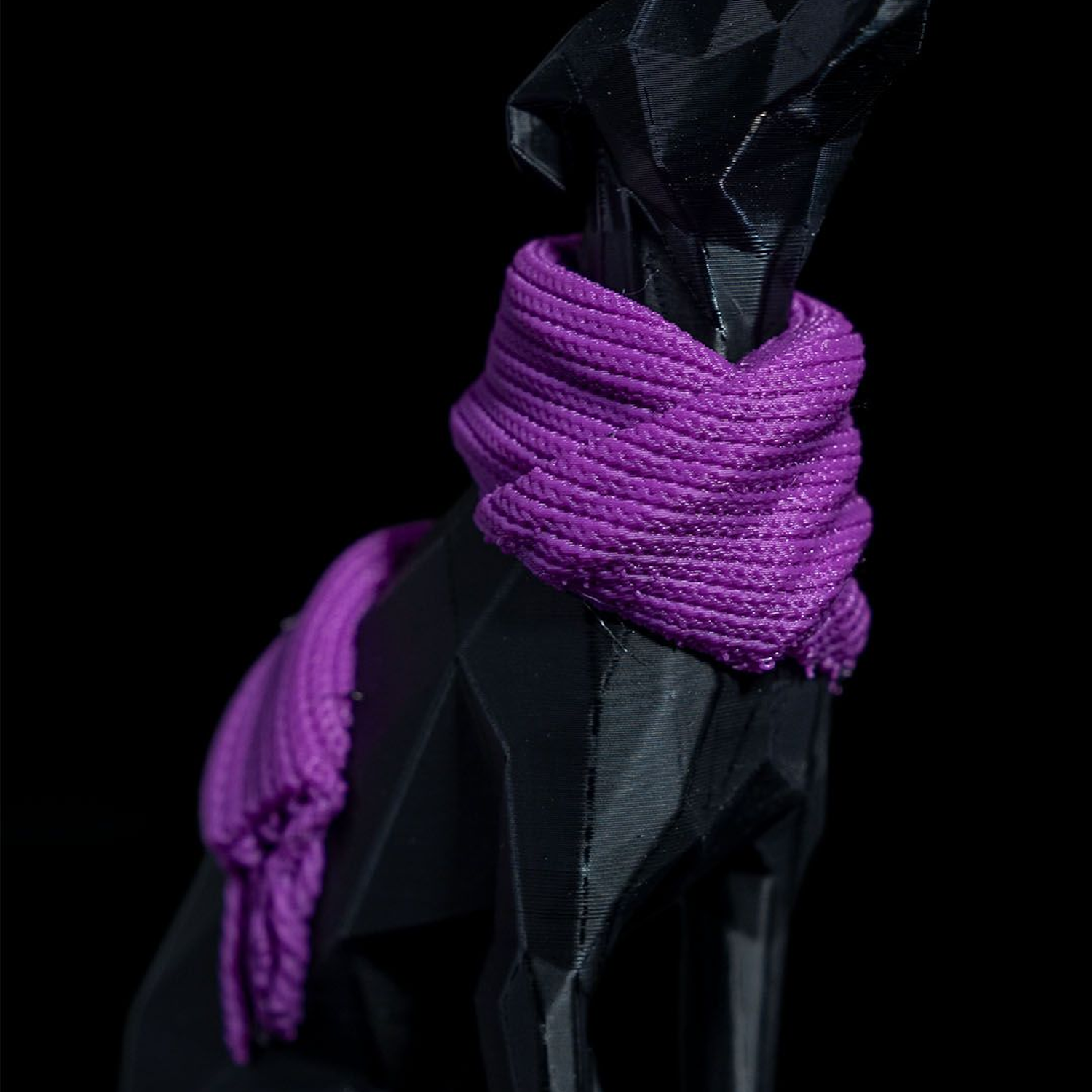 Milly, the Whippet